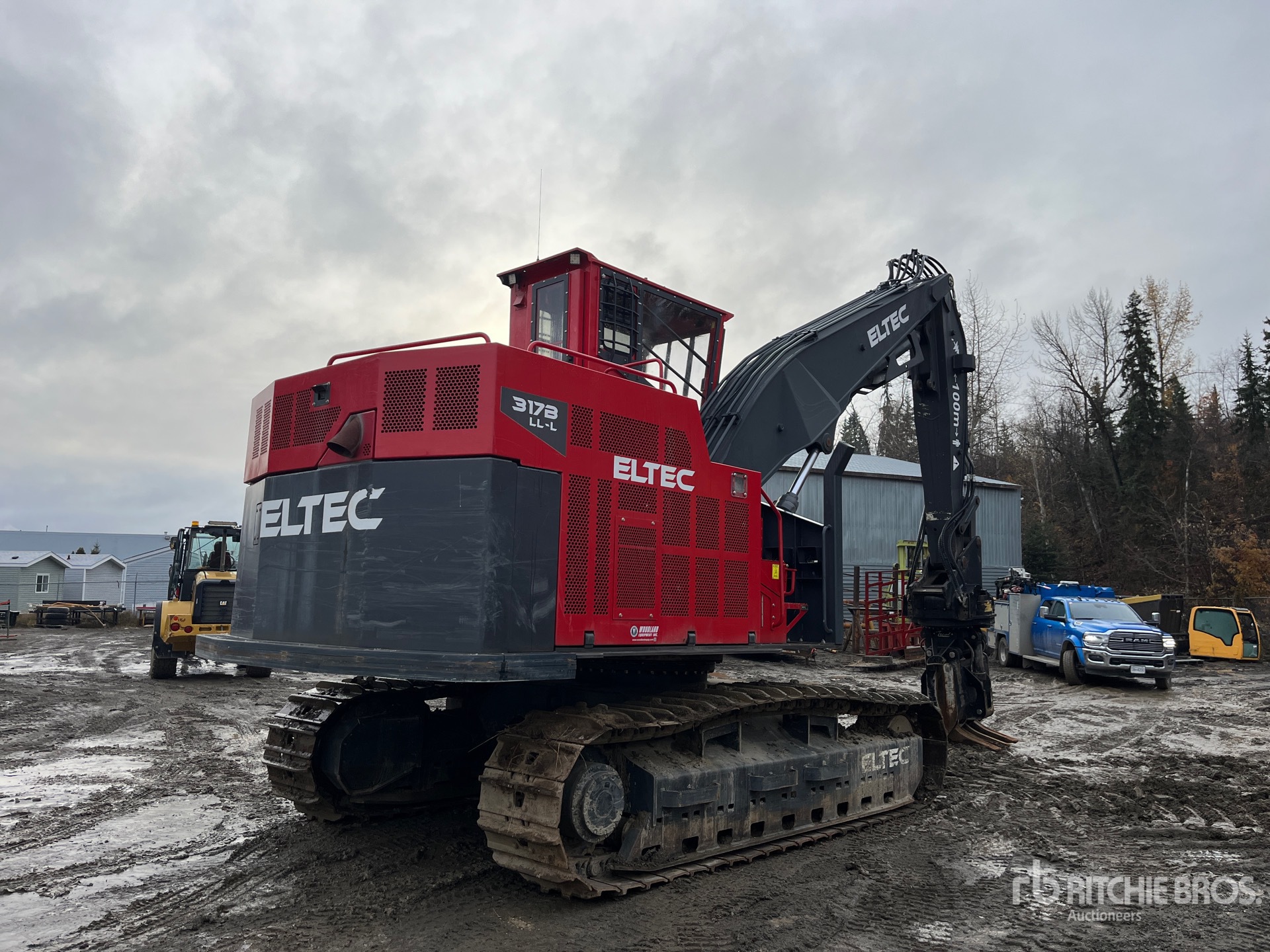 General Appearance with Zdjęcie, prawy dolny róg