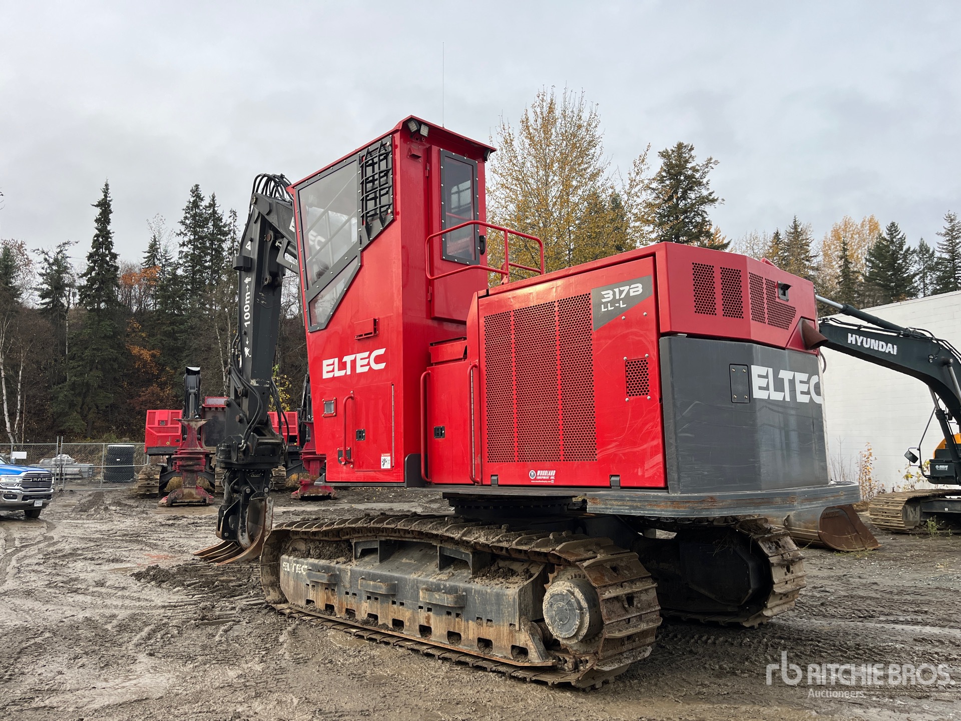 General Appearance with Zdjęcie, lewy dolny róg