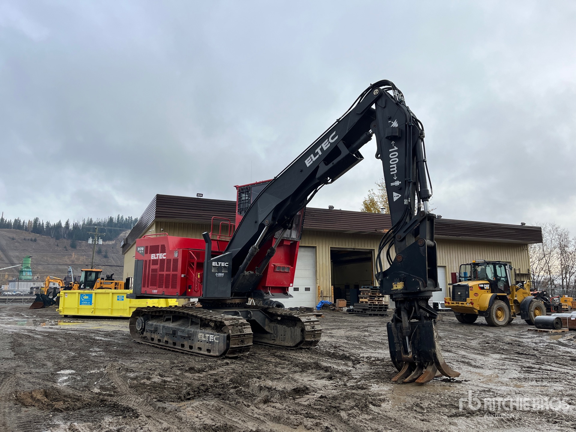 General Appearance with Zdjęcie, prawy górny róg