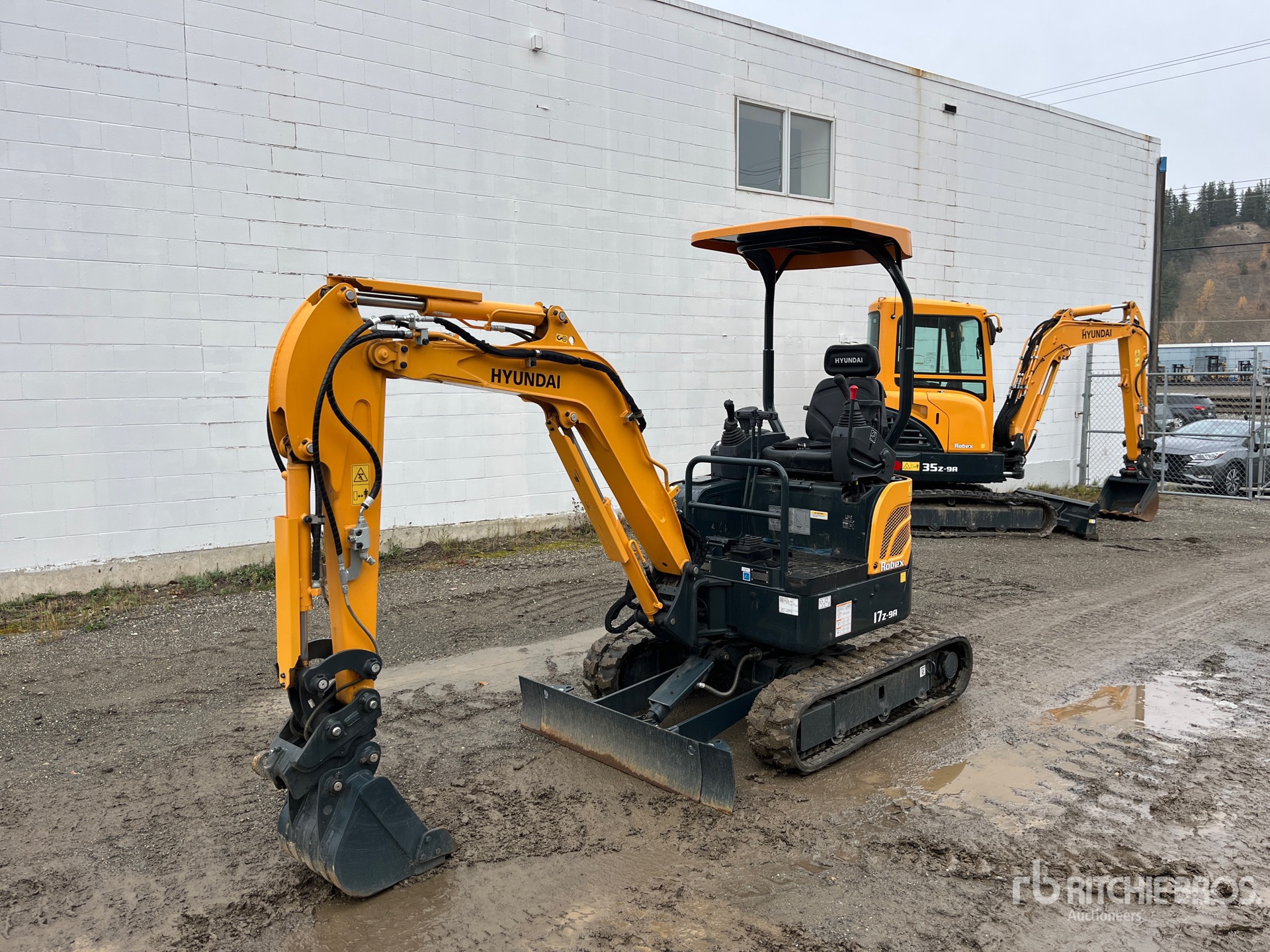 General Appearance with Spin