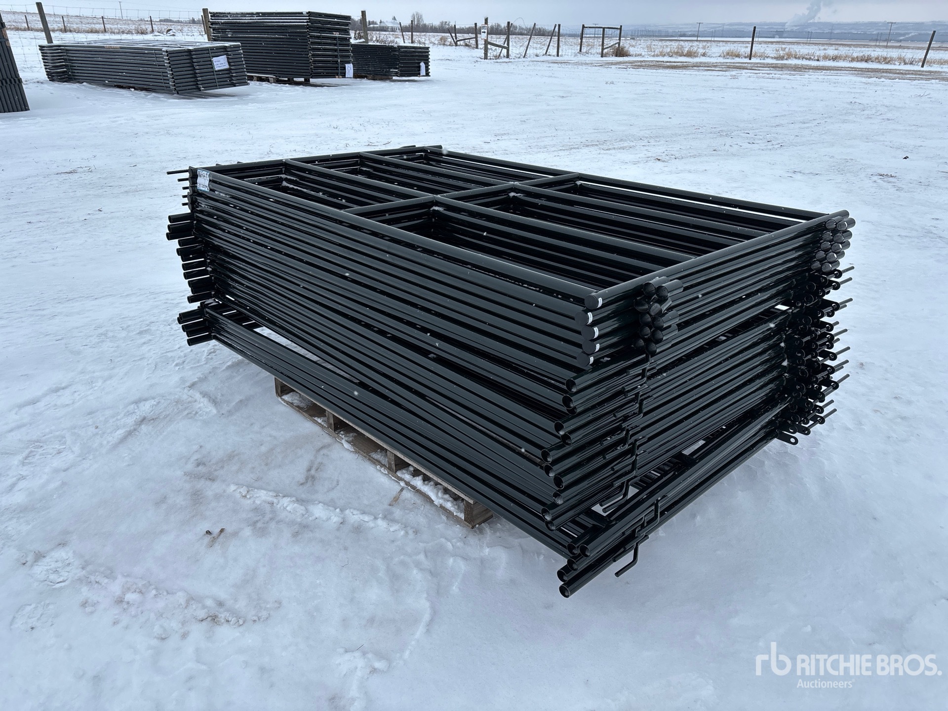 General Appearance with Bild, Ecke vorne links