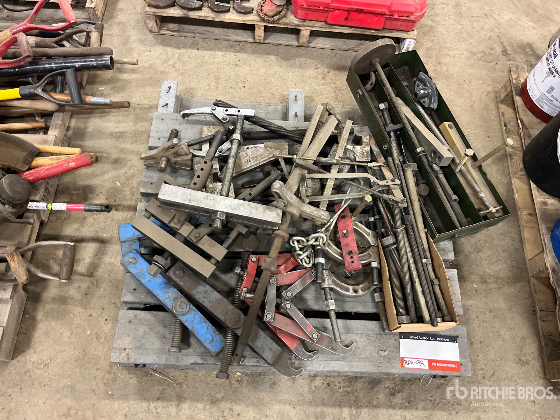 General Appearance with 