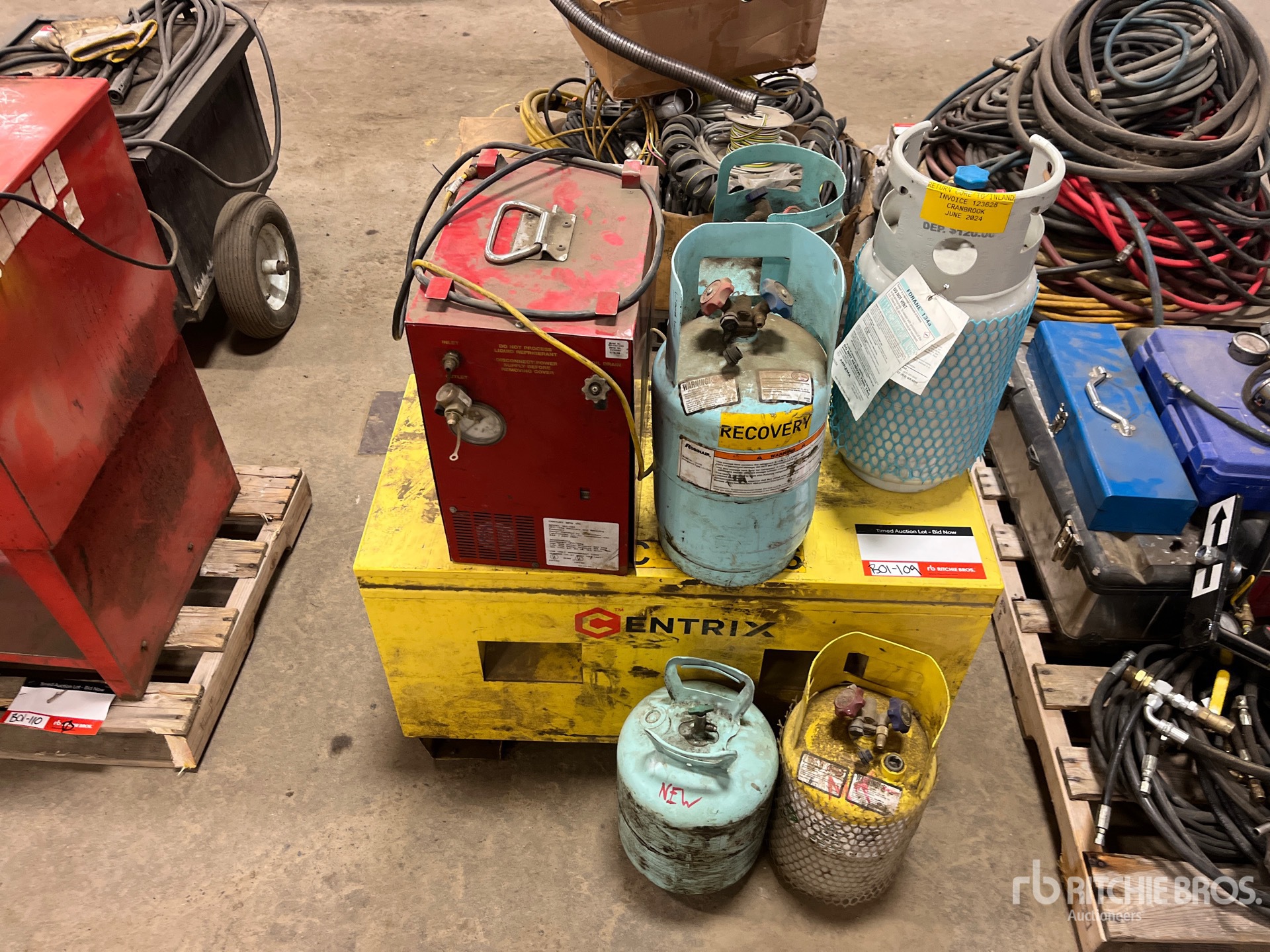 General Appearance with 