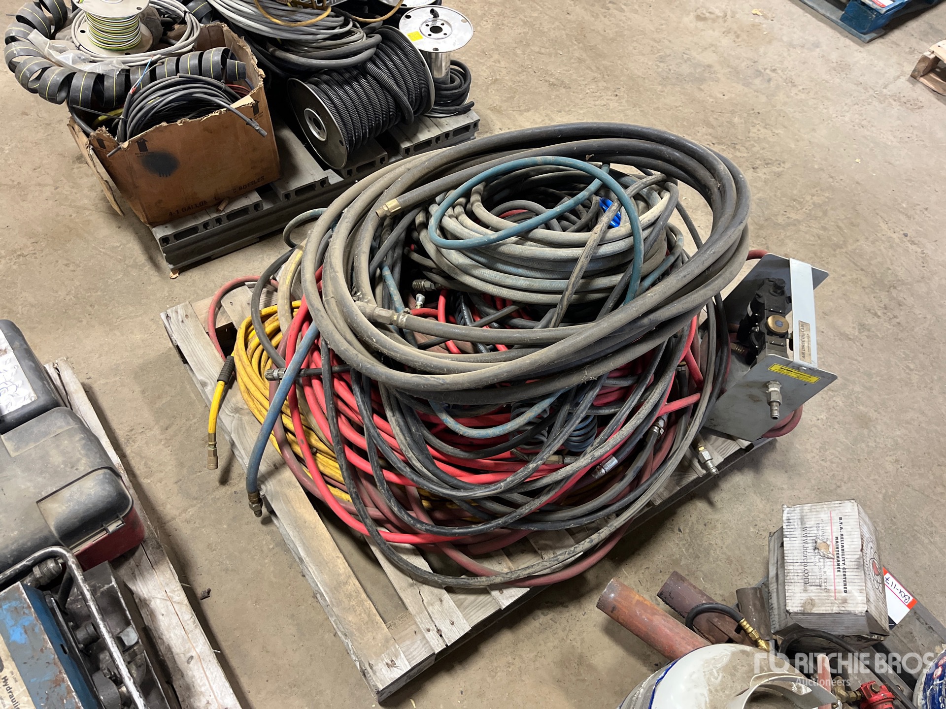 General Appearance with Foto, angolo anteriore sinistro