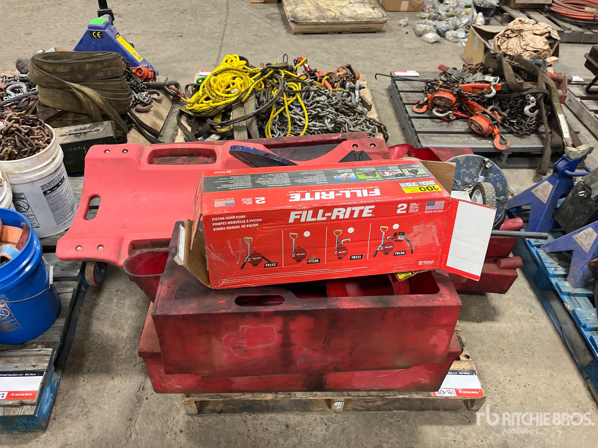 General Appearance with 