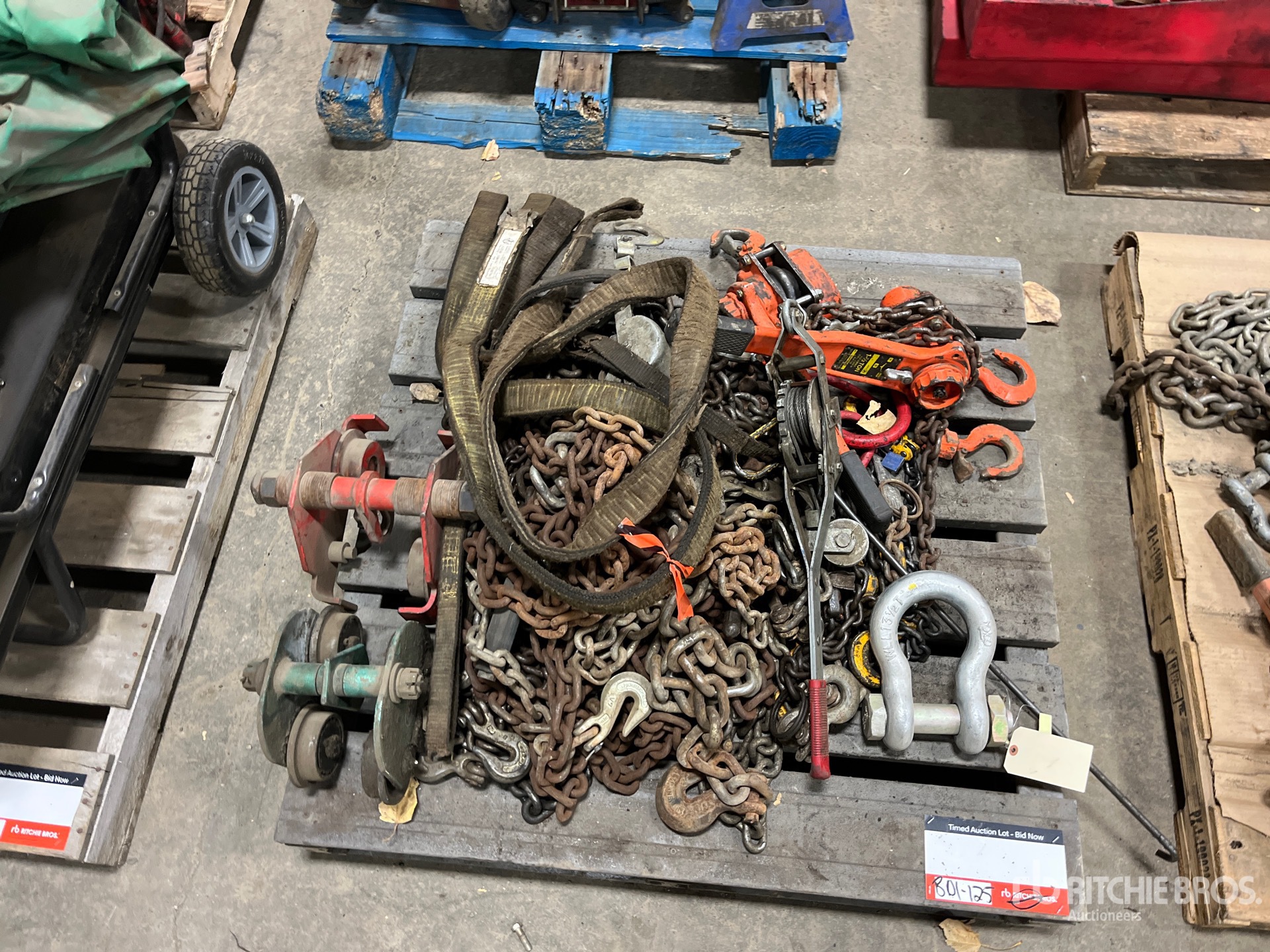 General Appearance with