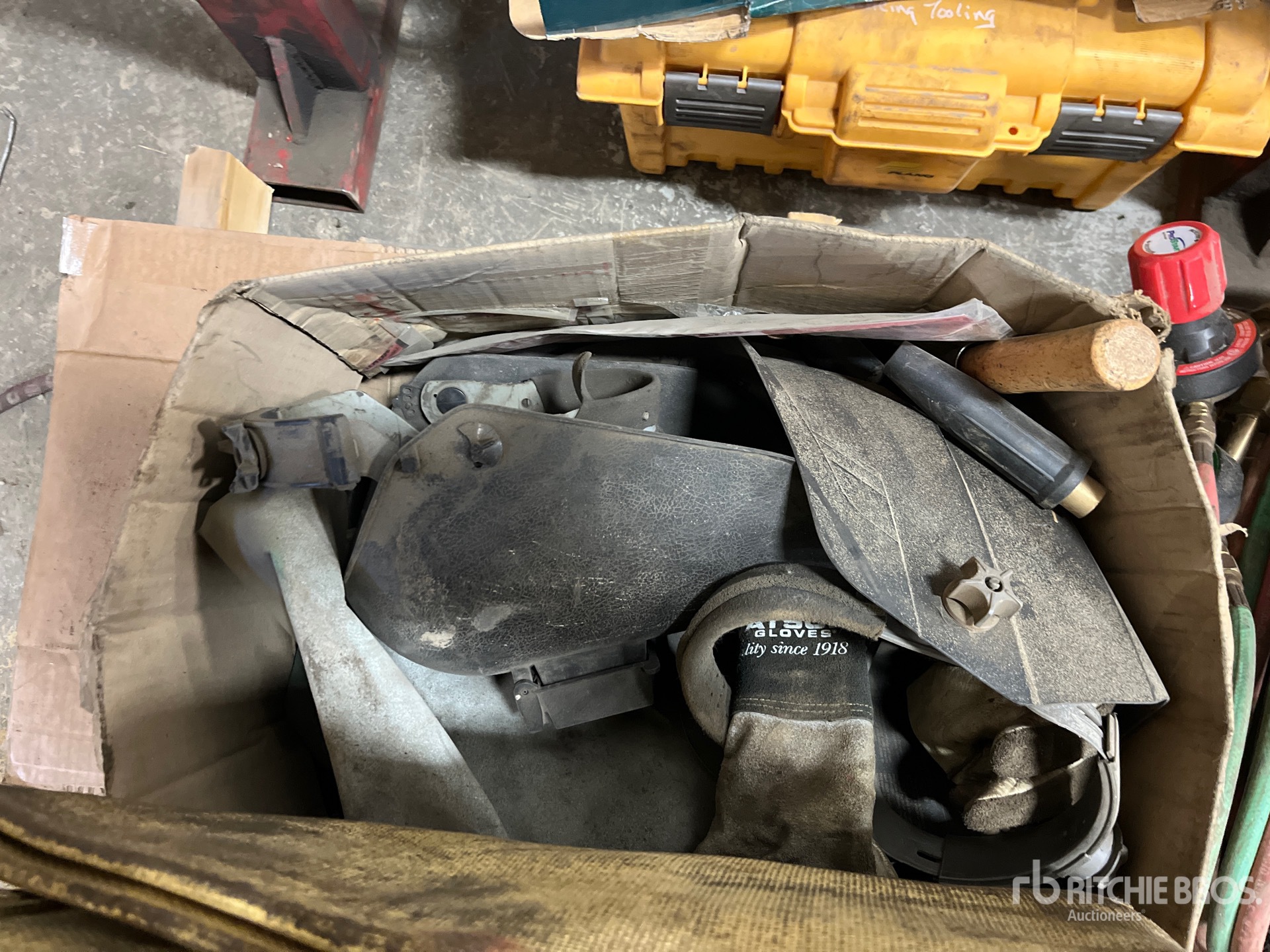 General Appearance with 