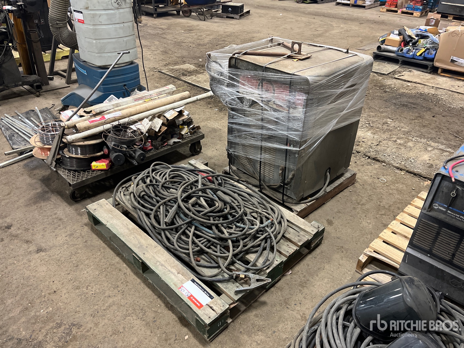 General Appearance with Zdjęcie, lewy górny róg