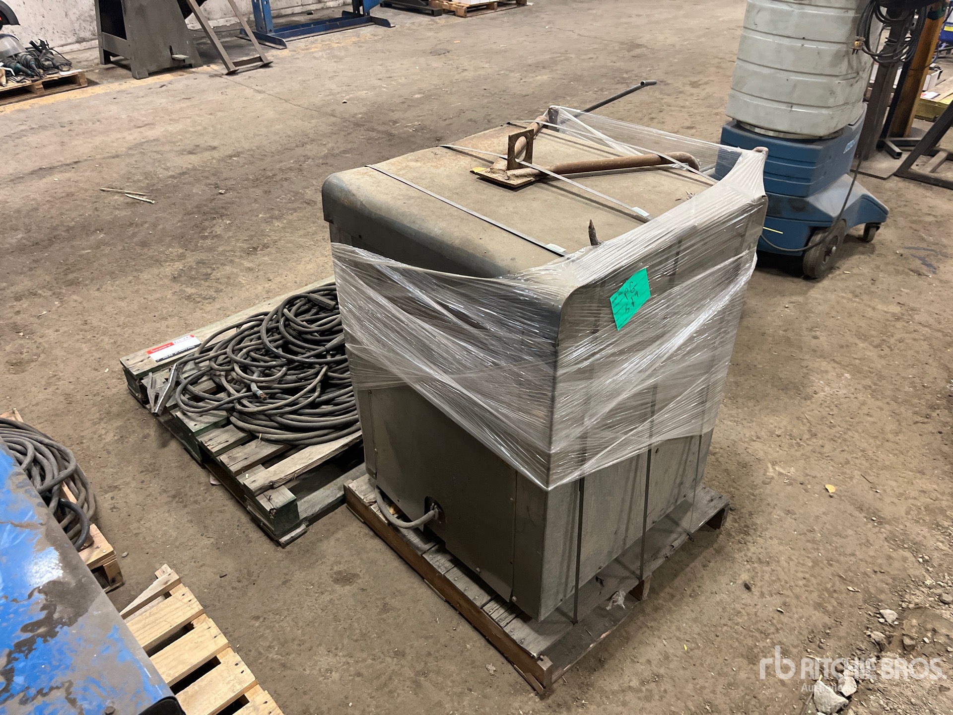 General Appearance with Zdjęcie, lewy dolny róg