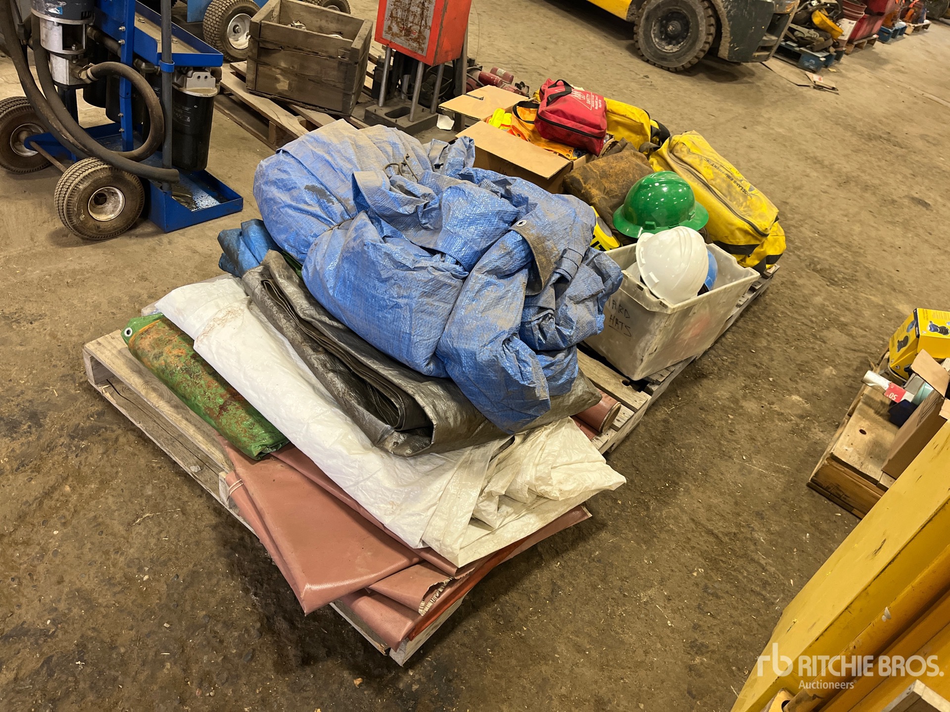 General Appearance with Foto, angolo anteriore sinistro