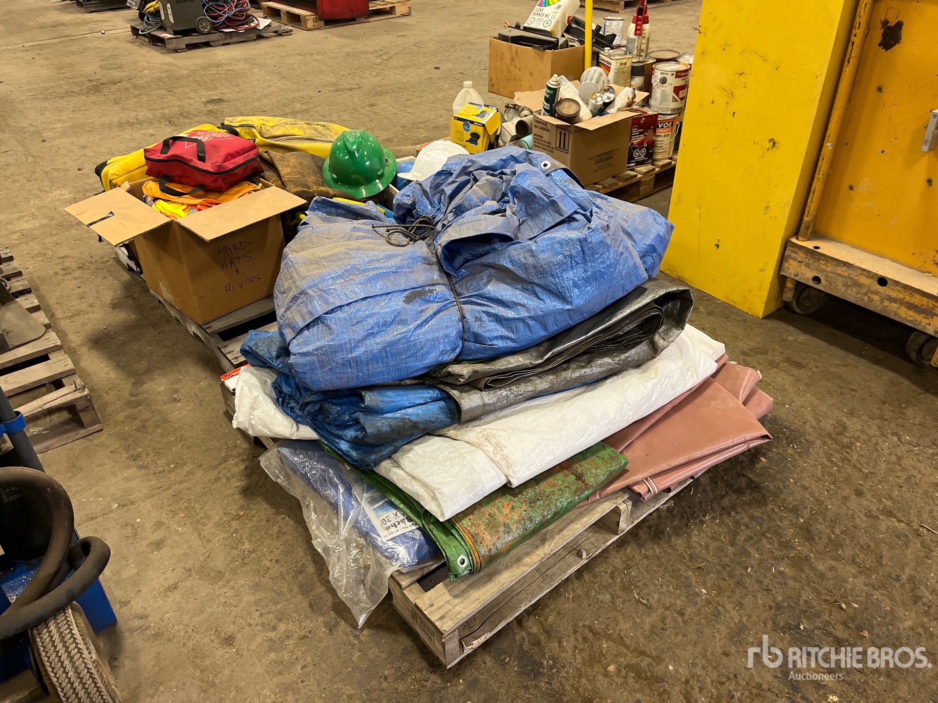 General Appearance with Foto, angolo posteriore sinistro