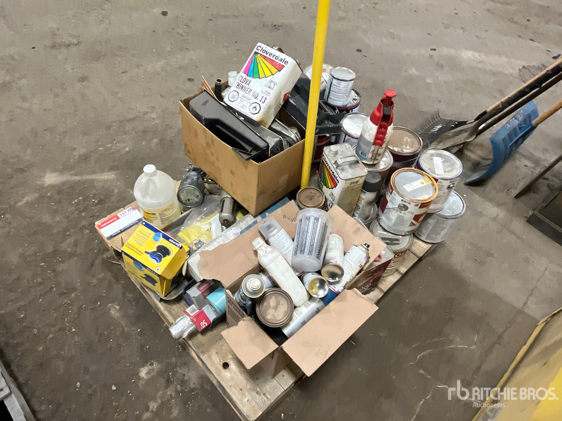 General Appearance with Foto, angolo posteriore sinistro