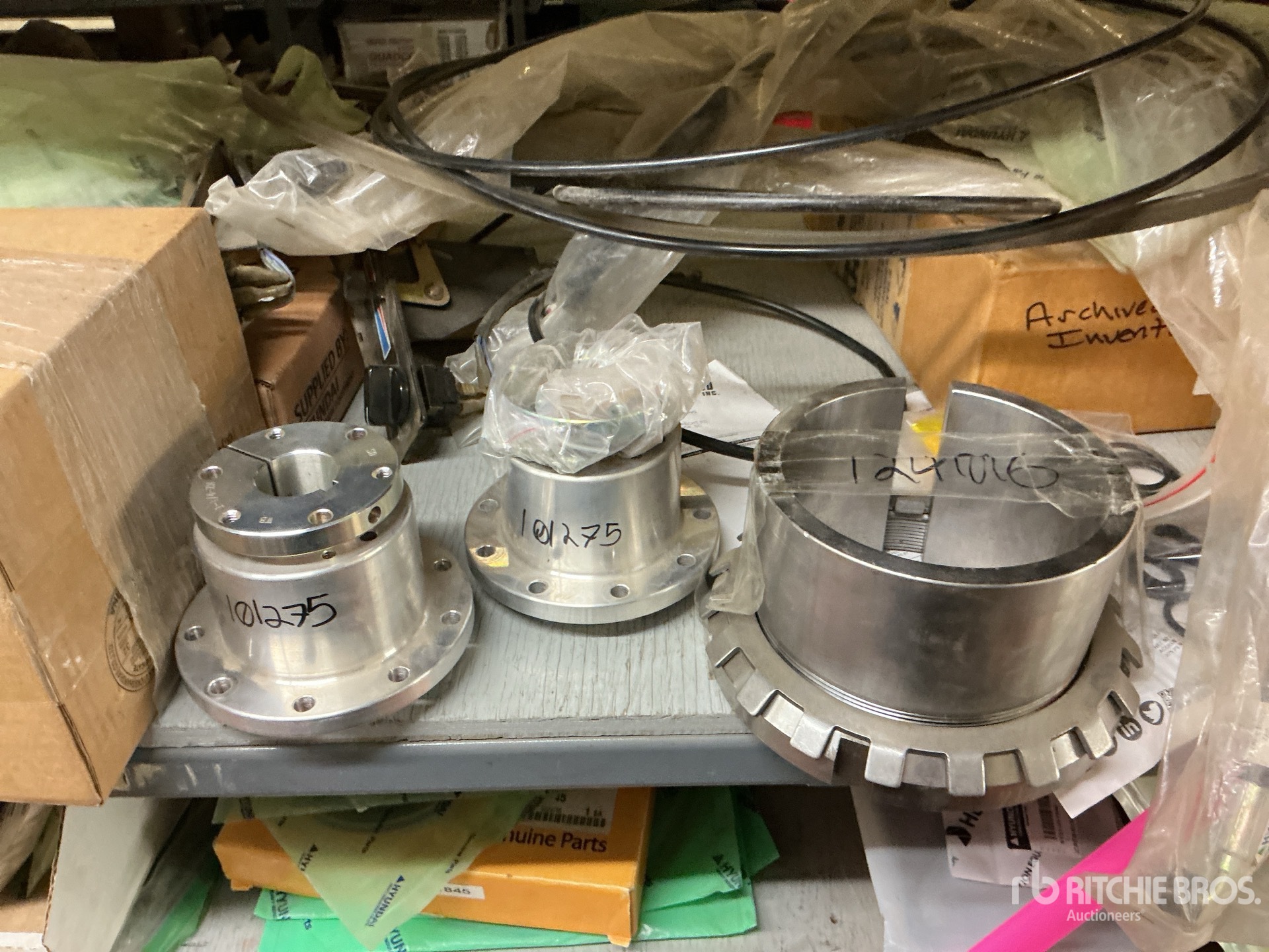 General Appearance with