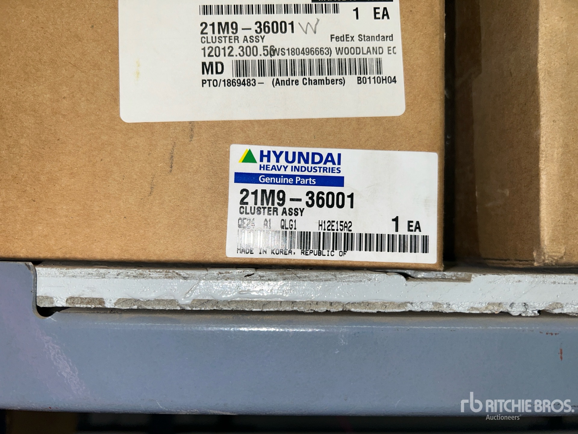 General Appearance with 