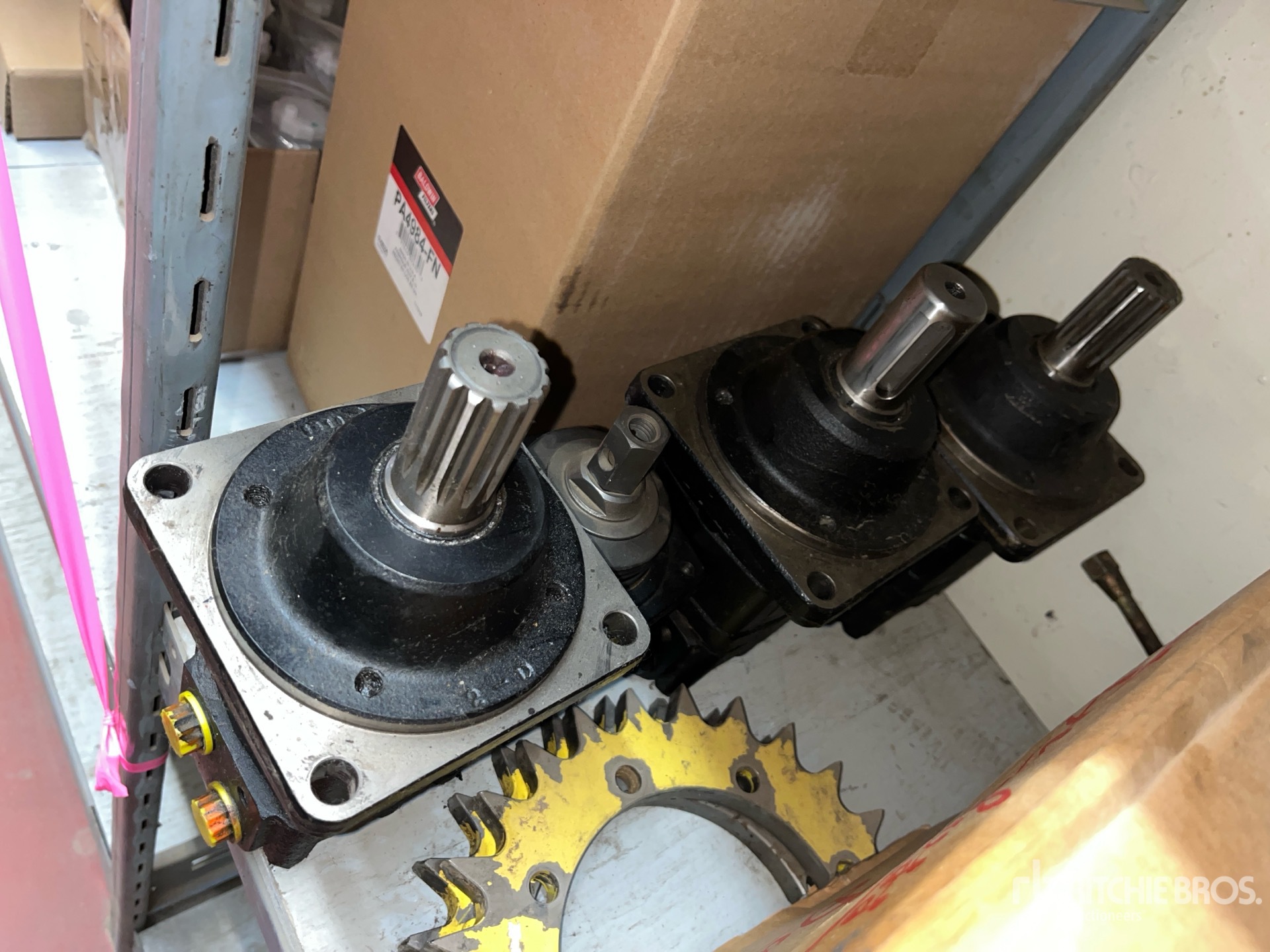 General Appearance with 