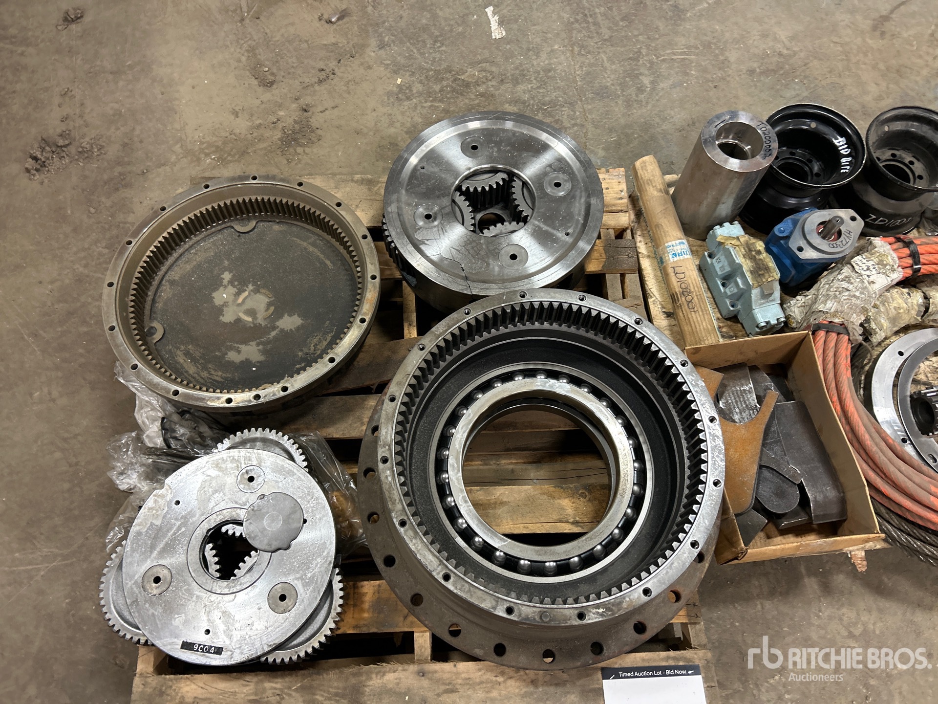 General Appearance with 