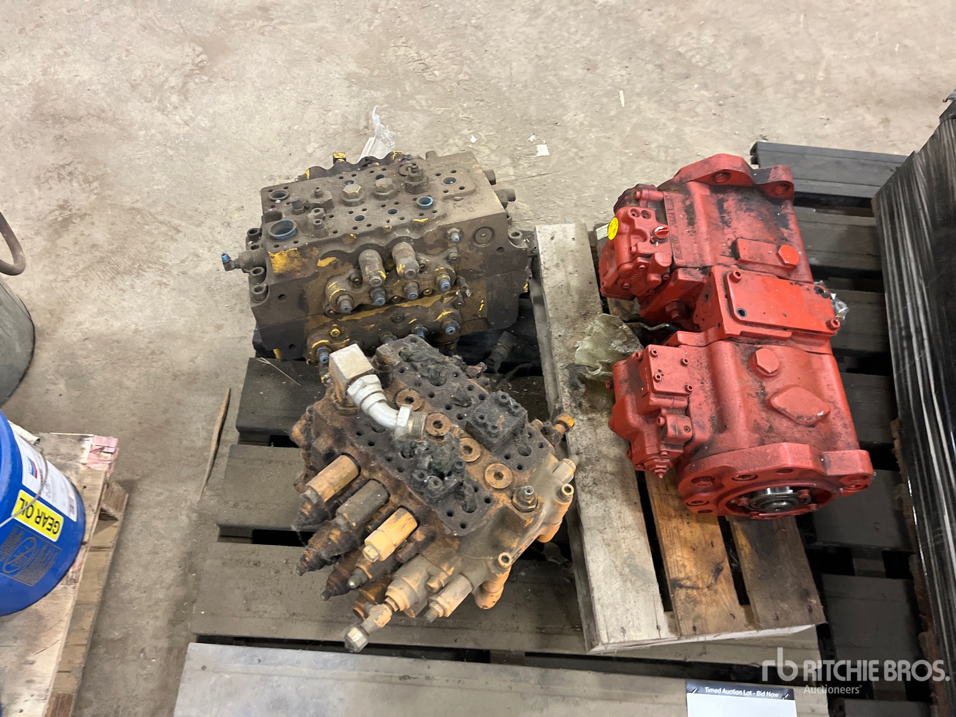 General Appearance with 