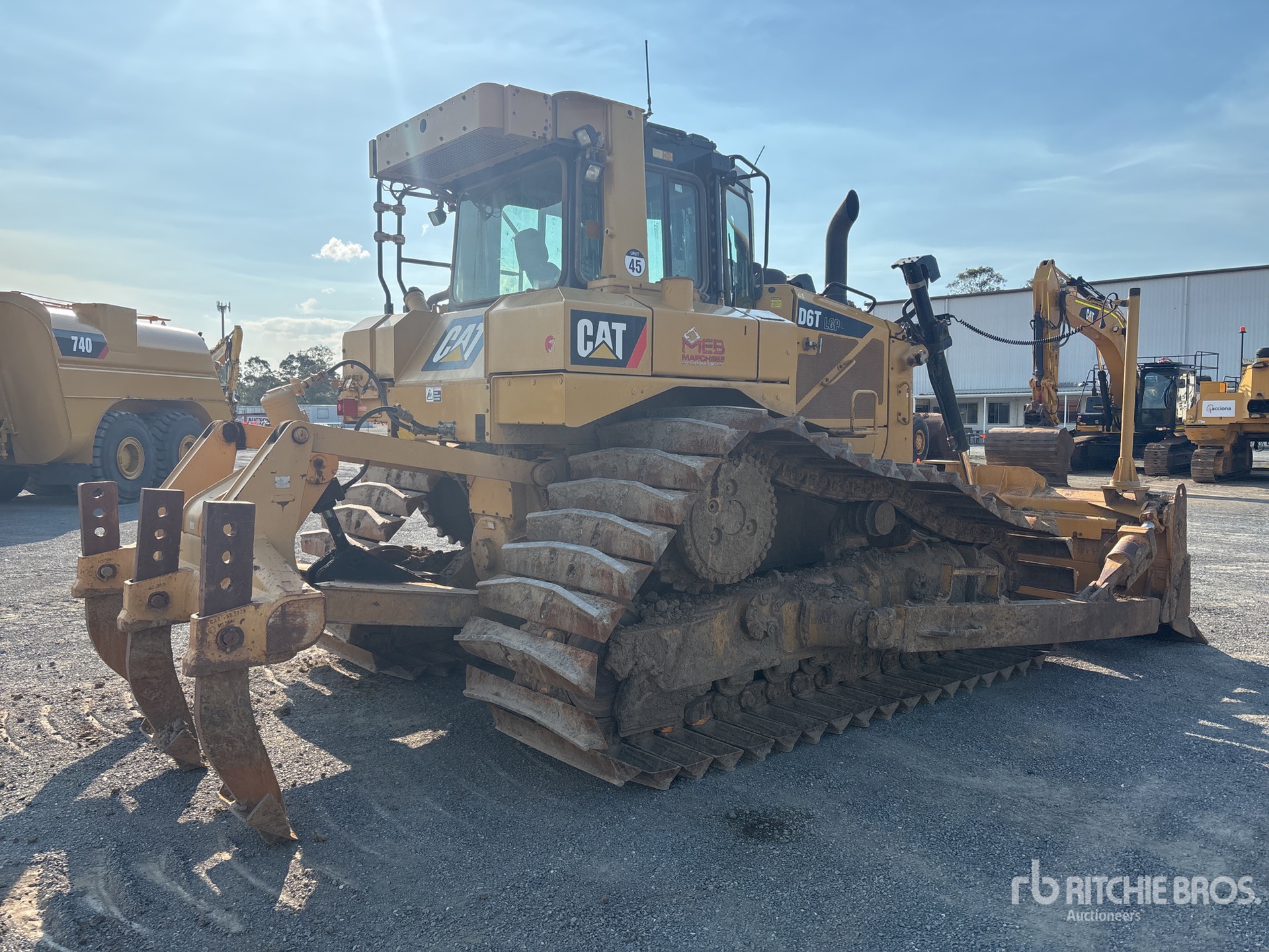 General Appearance with 