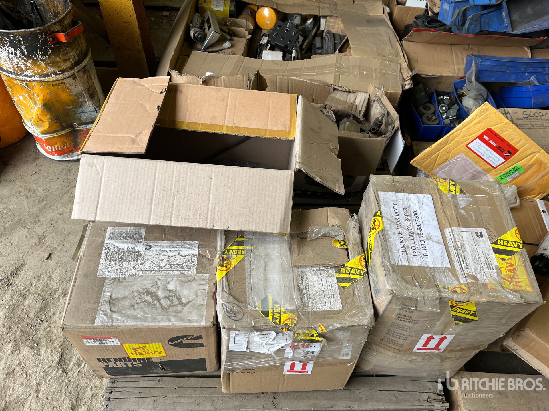 General Appearance with 