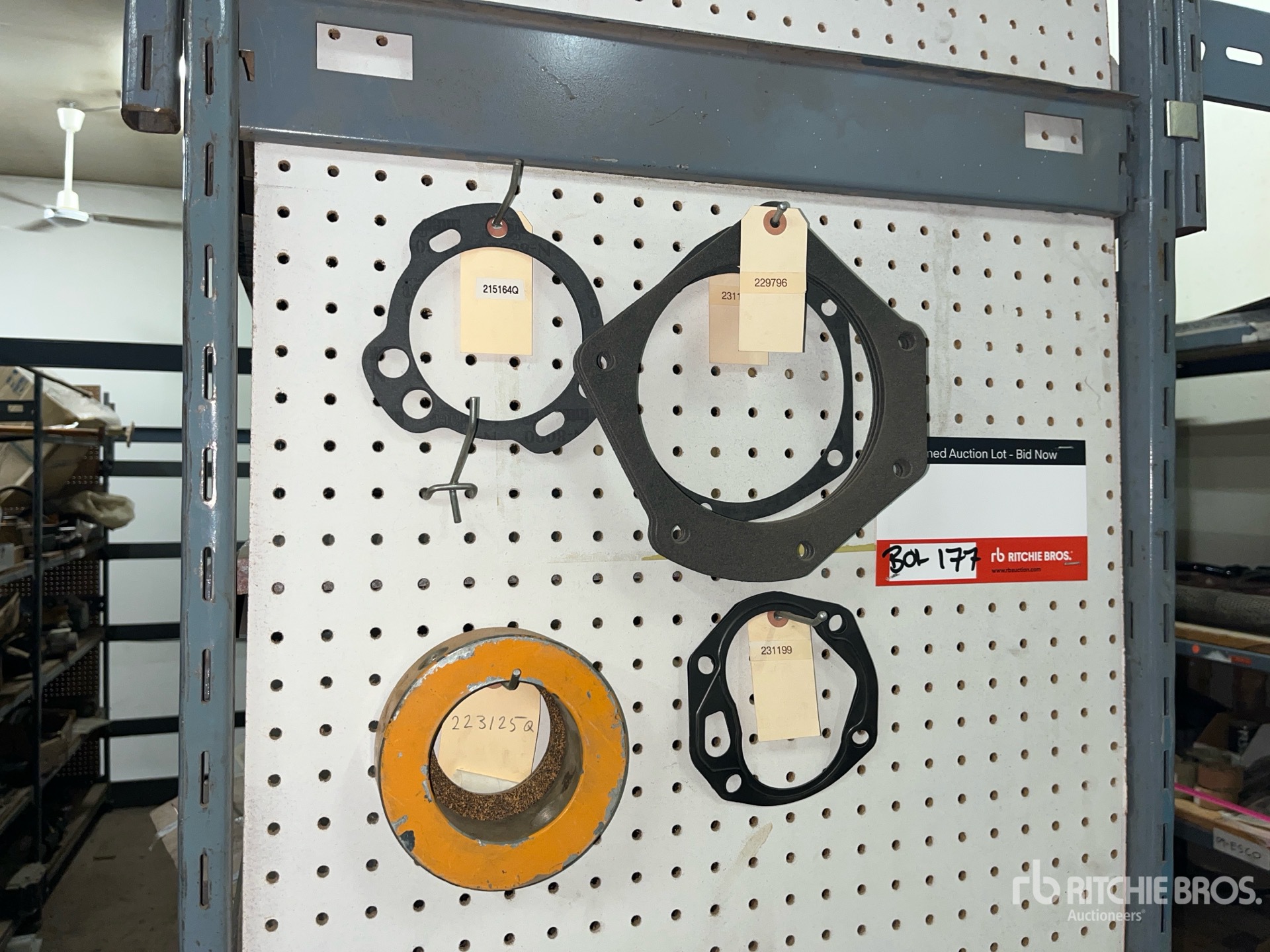 General Appearance with