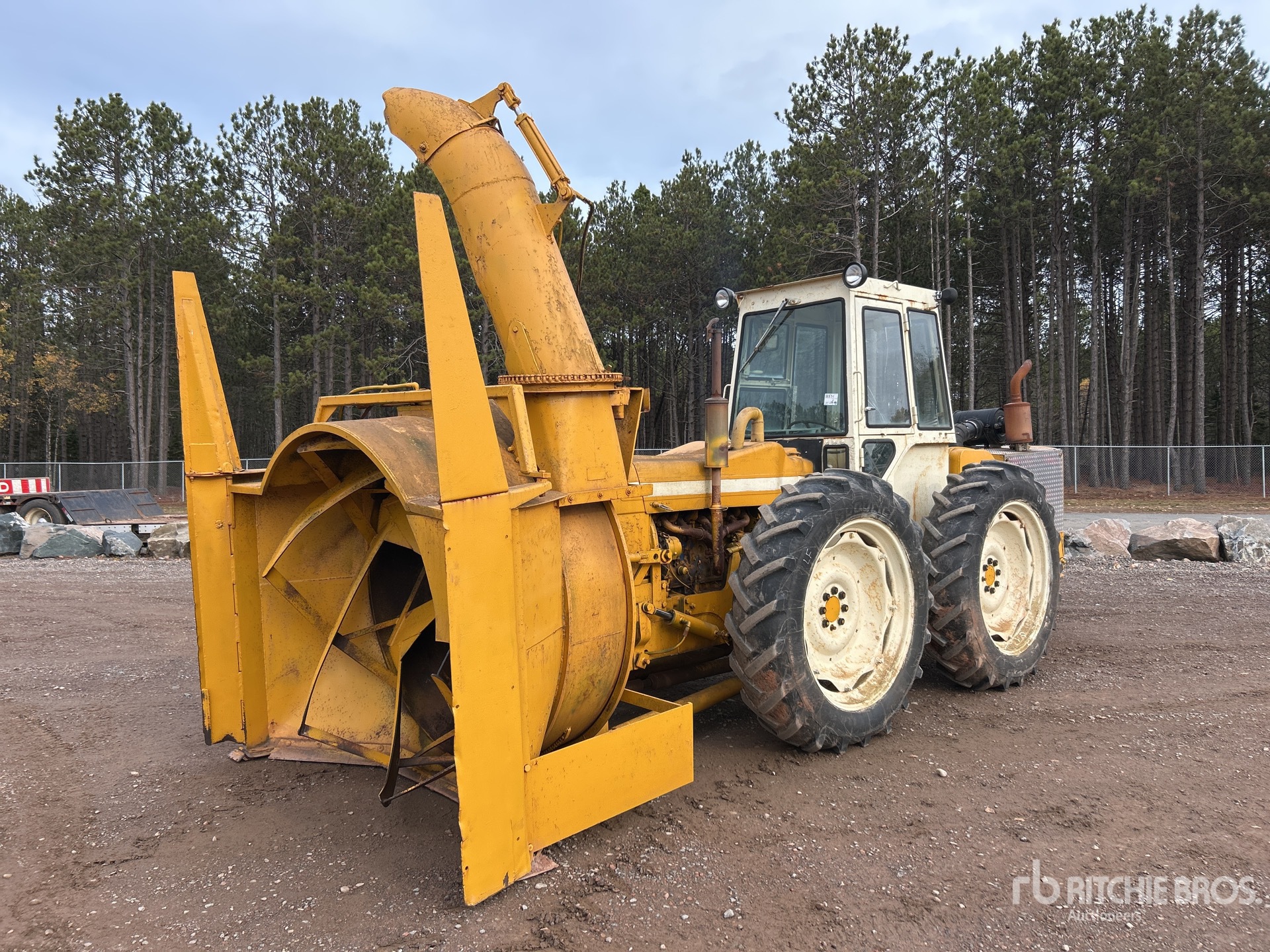 General Appearance with Spin