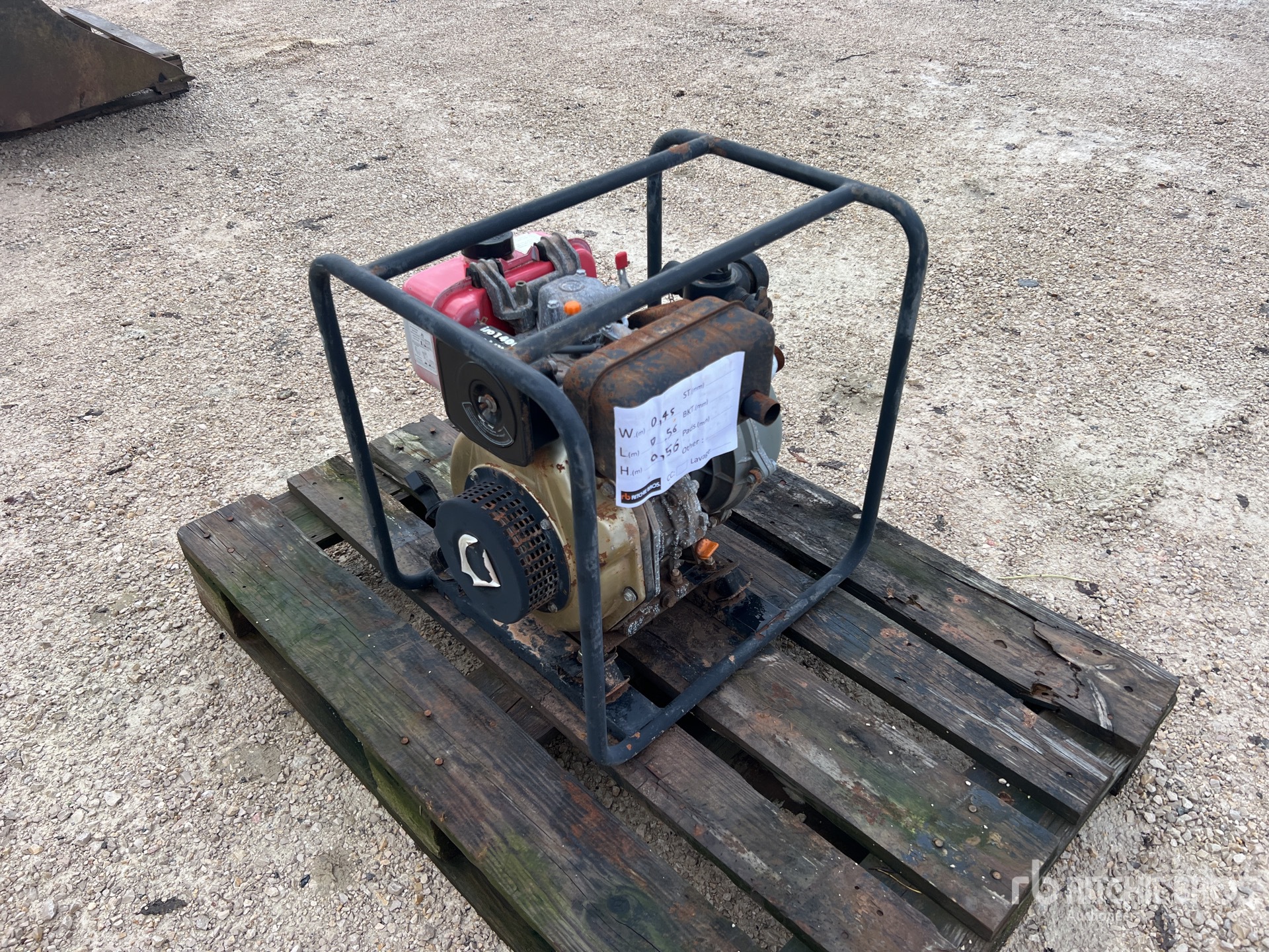 General Appearance with 