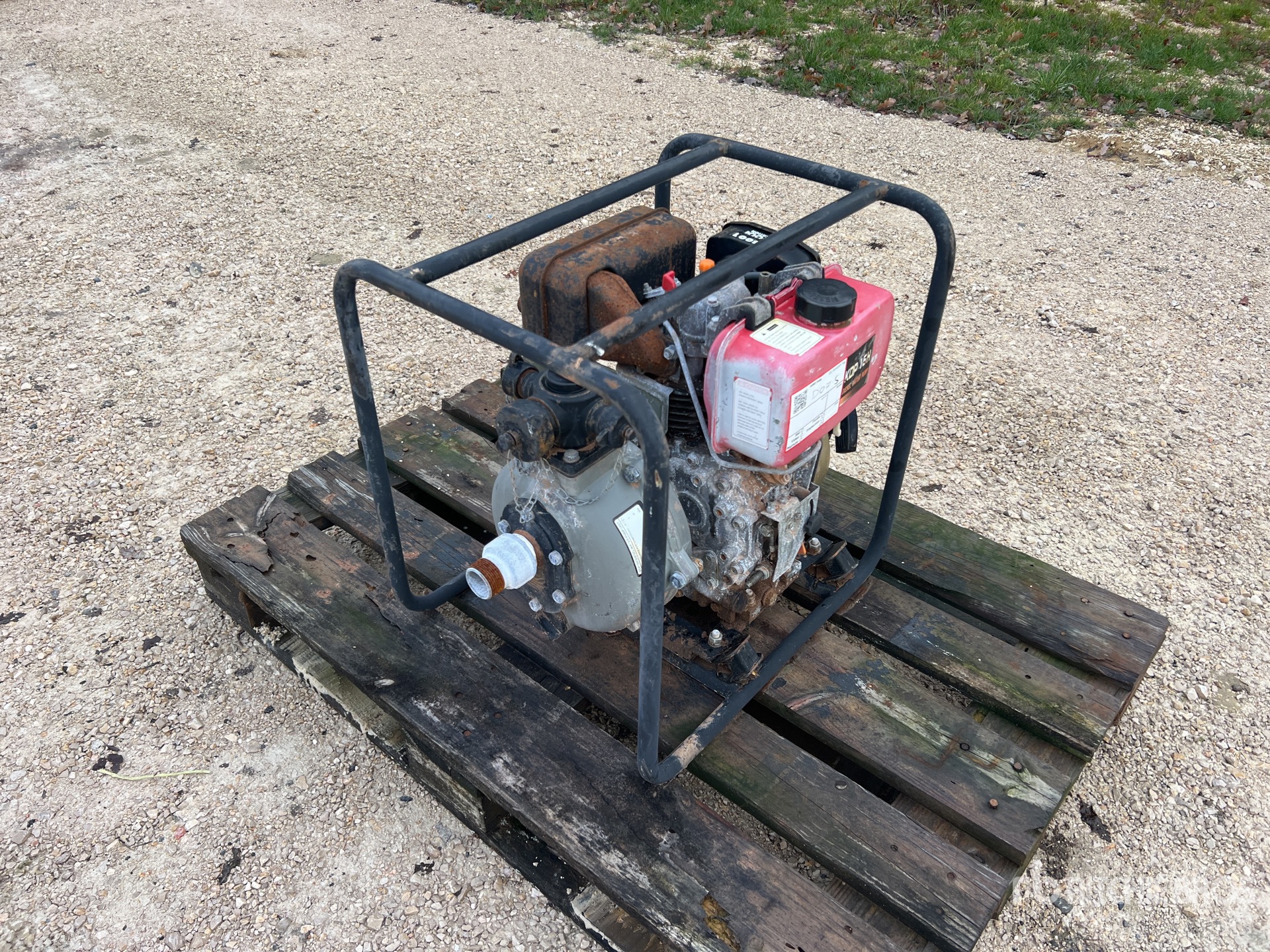 General Appearance with 