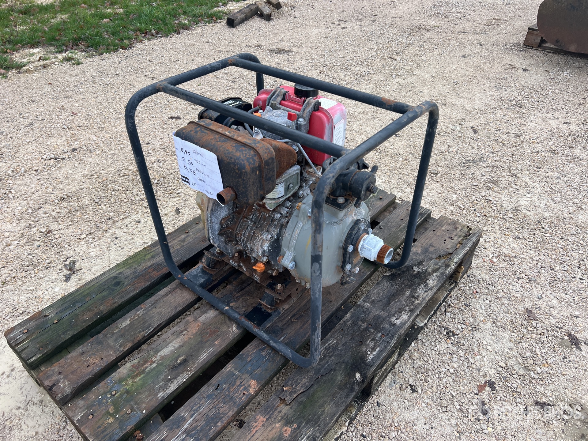 General Appearance with 