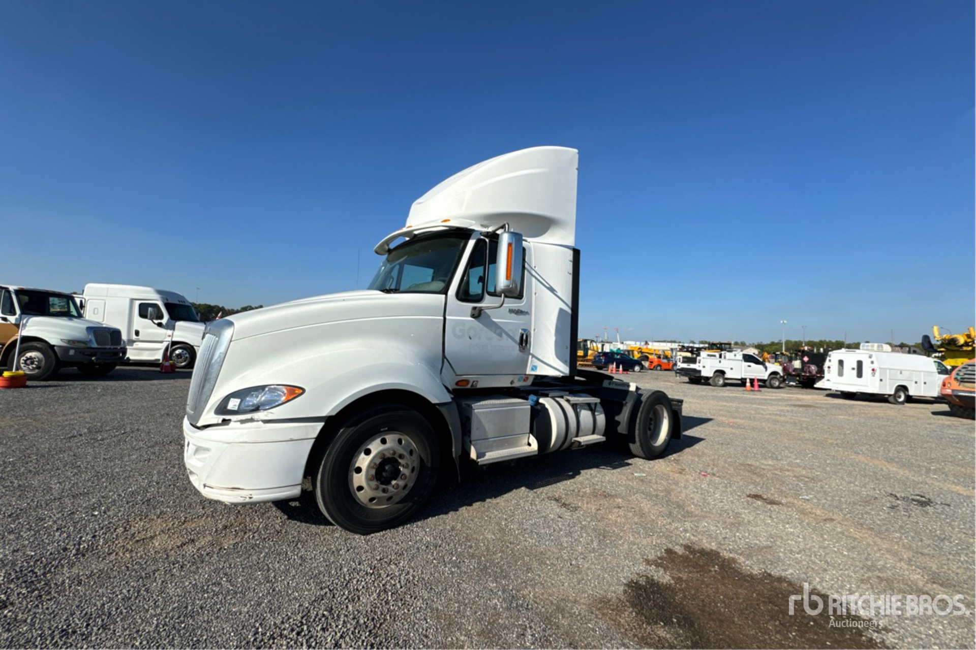 General Appearance with Spin