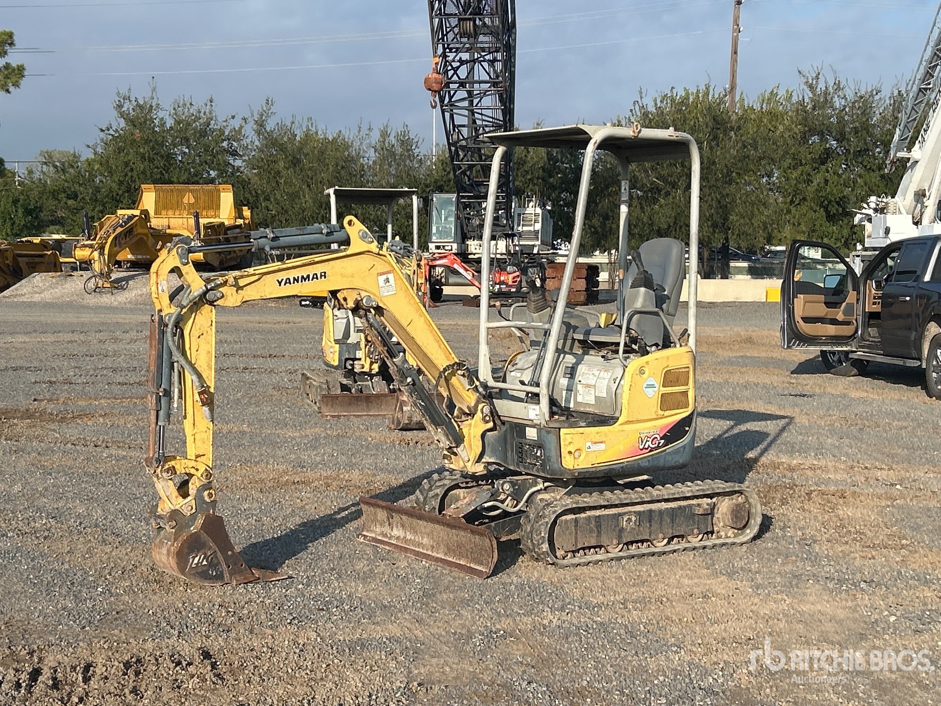 General Appearance with Spin