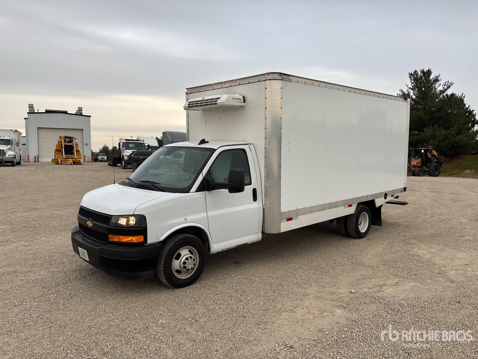 General Appearance with Spin