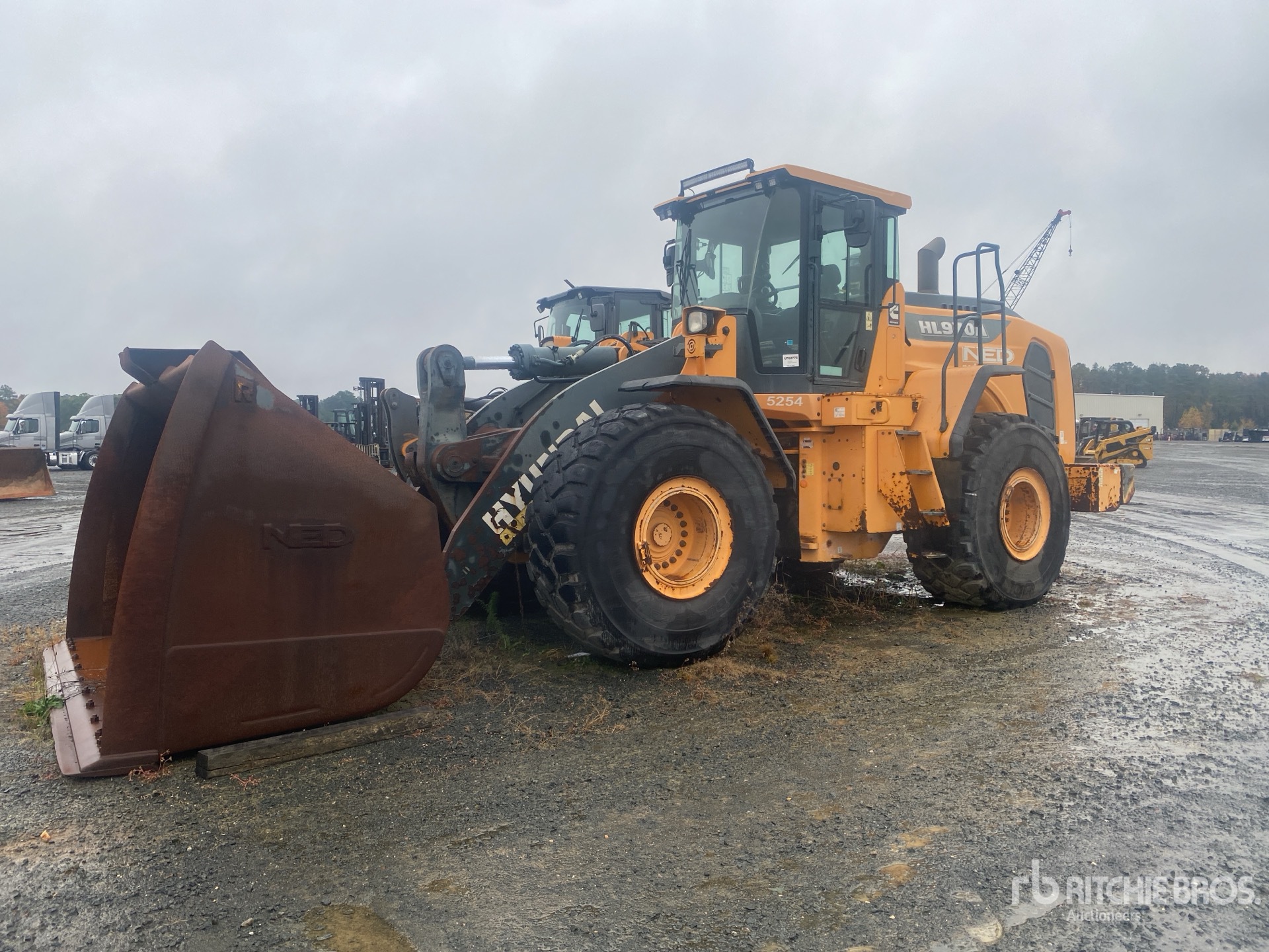 General Appearance with Featured Photo