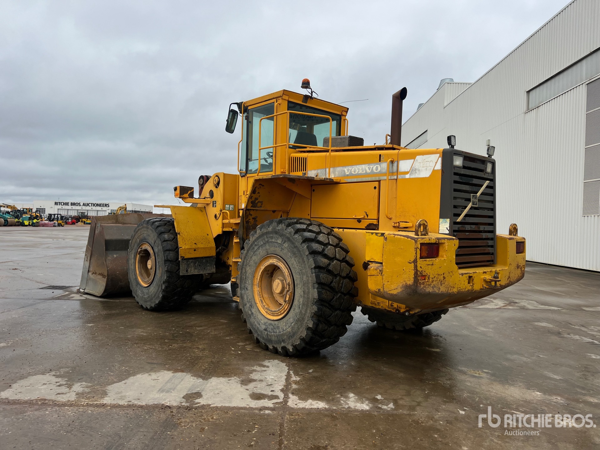 General Appearance with