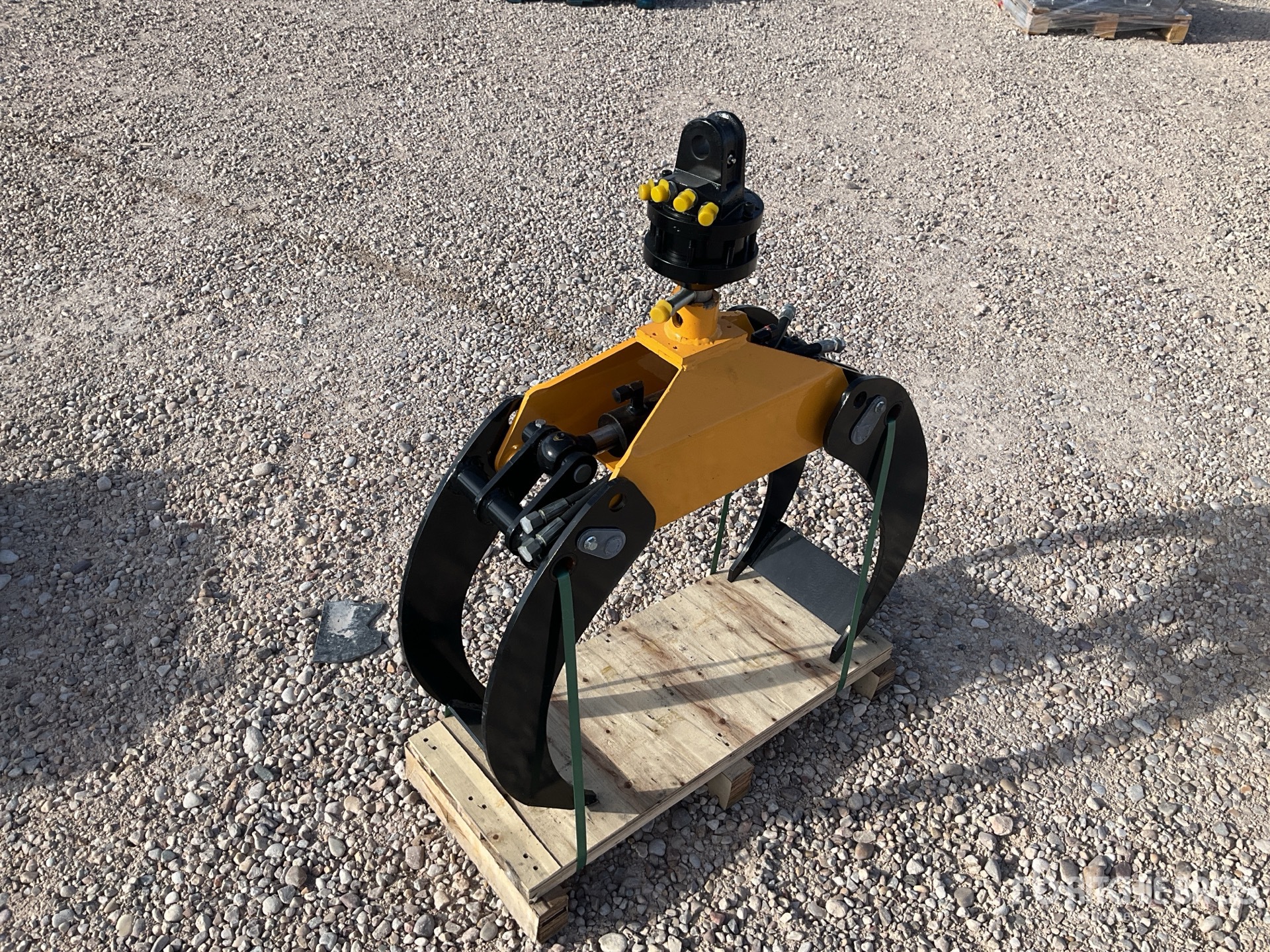 General Appearance with Foto, angolo anteriore sinistro