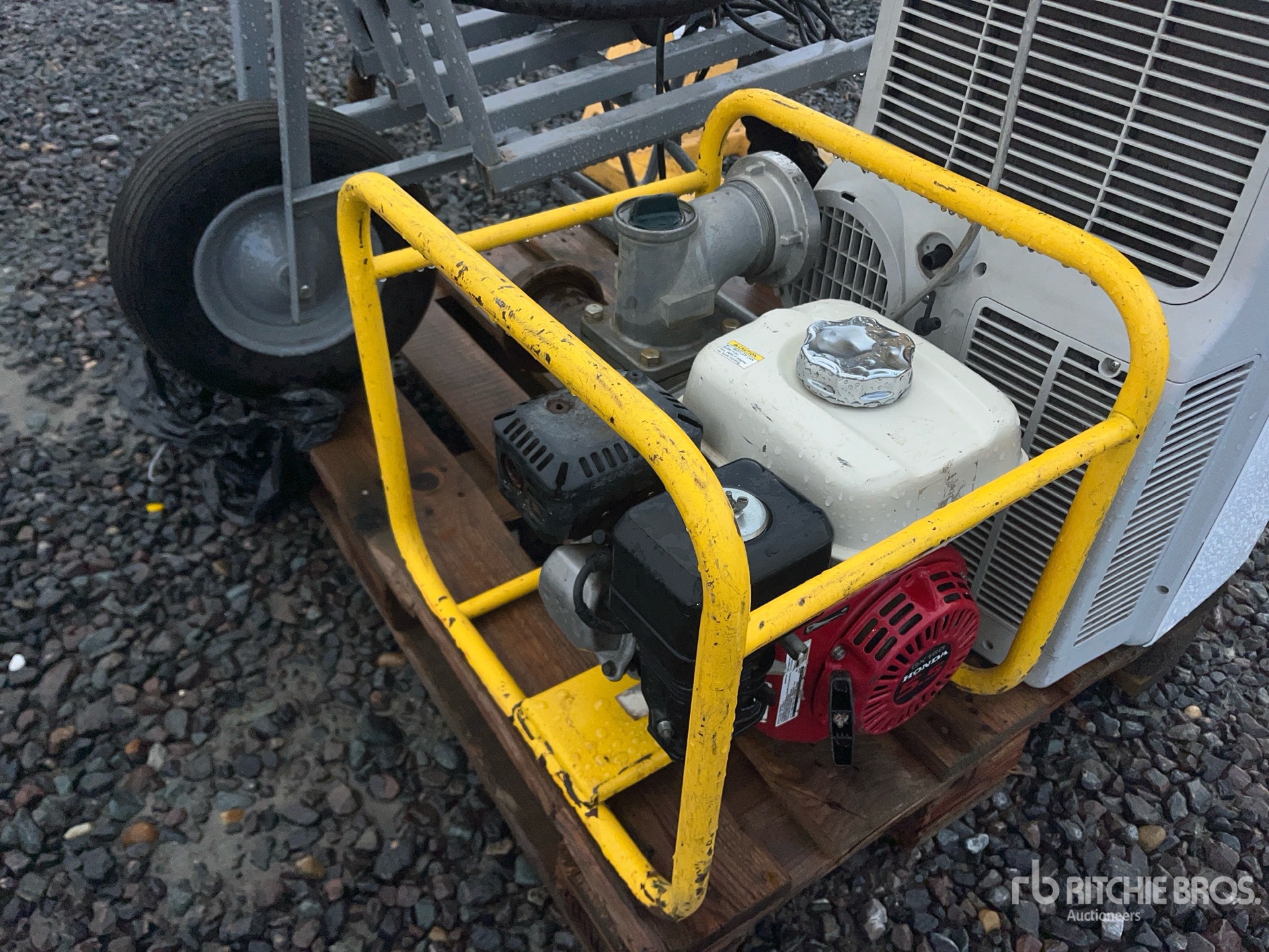 General Appearance with