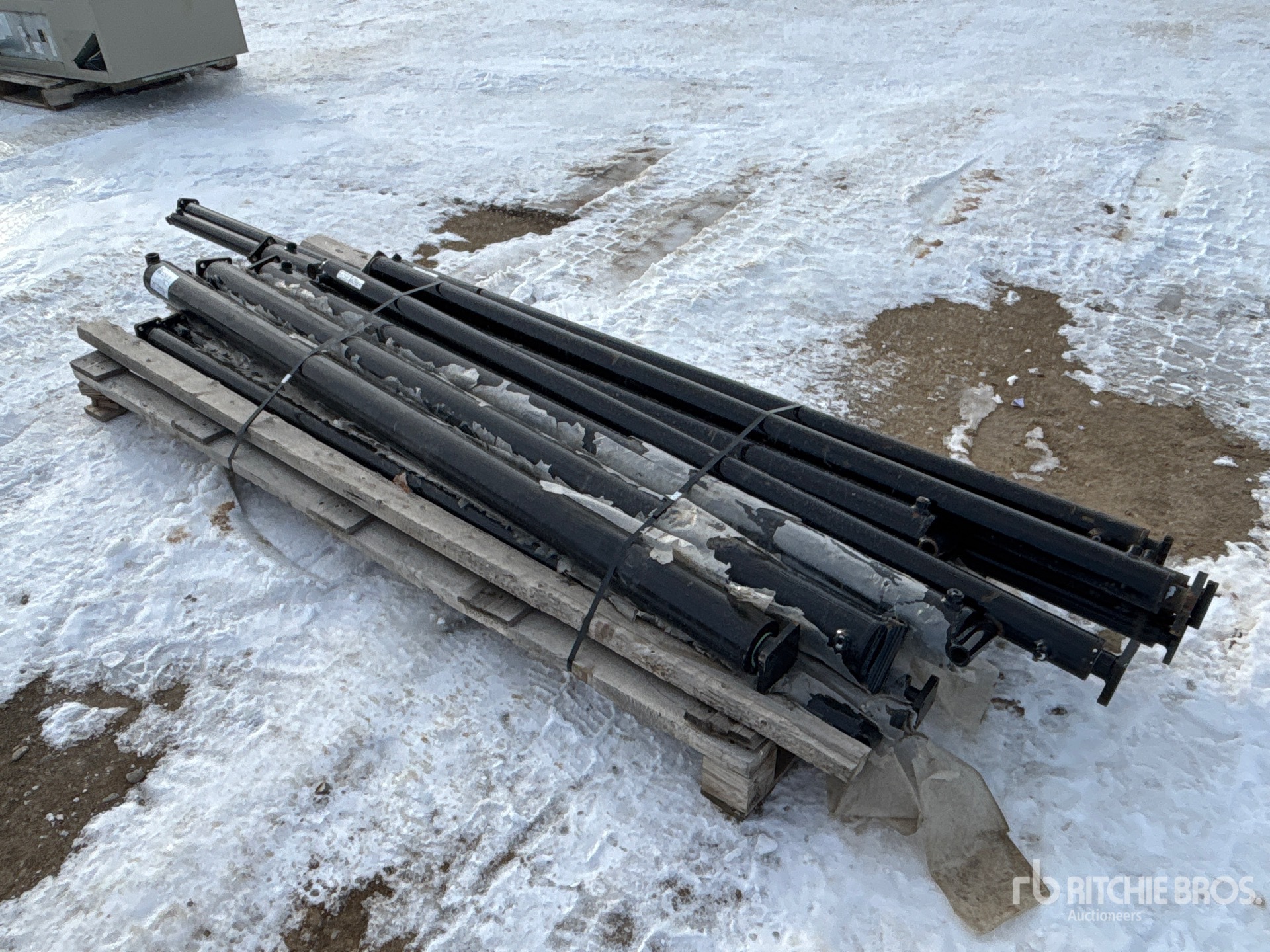 General Appearance with Foto, angolo anteriore sinistro