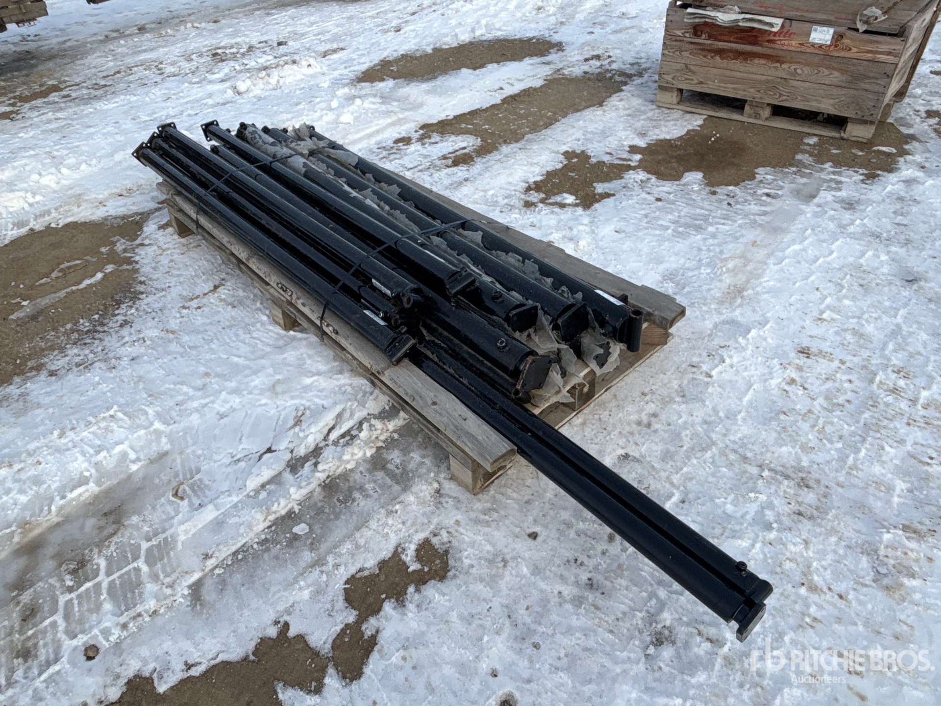 General Appearance with Foto, angolo anteriore sinistro