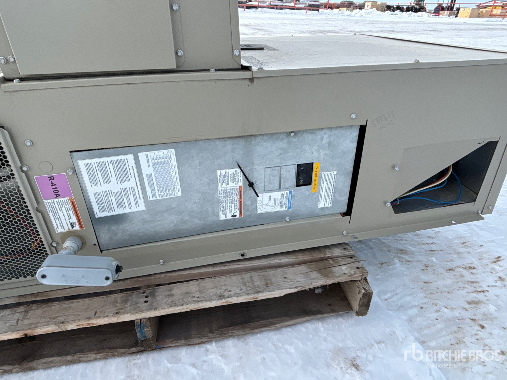 General Appearance with 