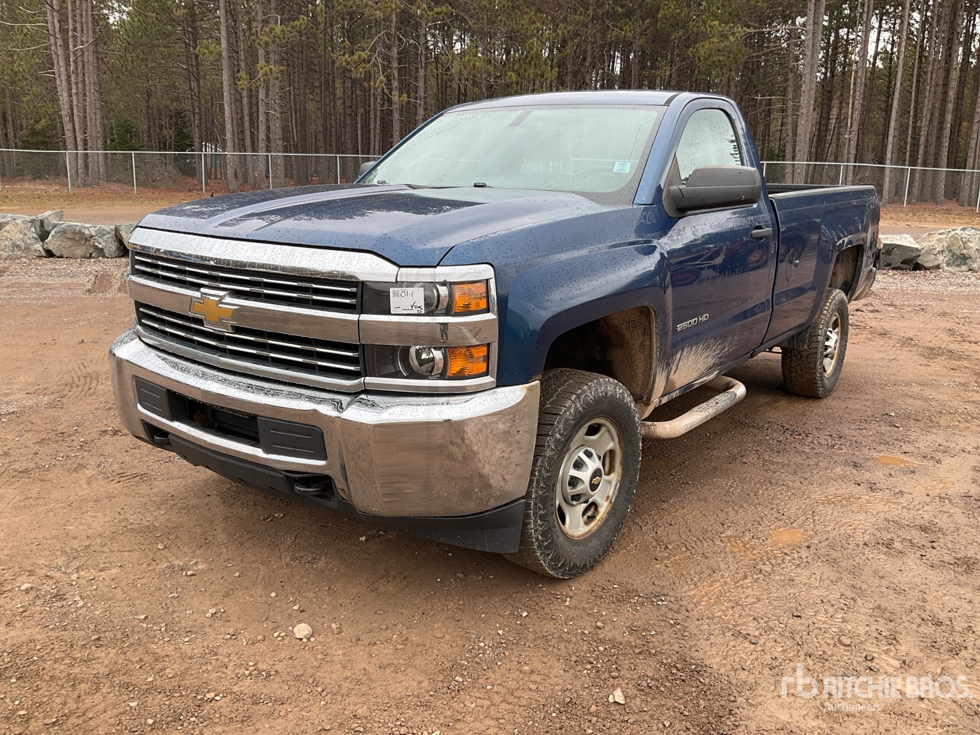 General Appearance with Spin