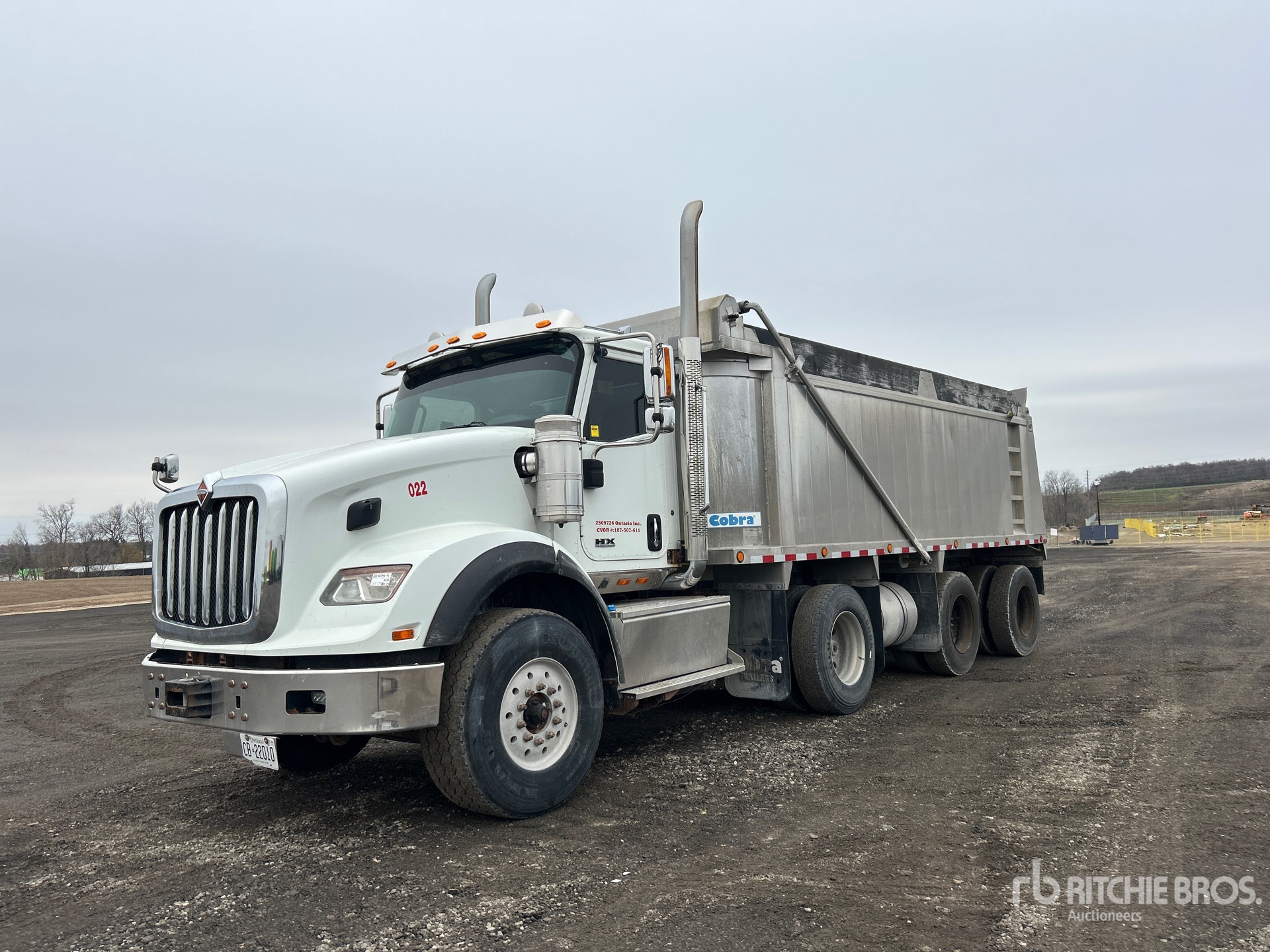 General Appearance with Spin