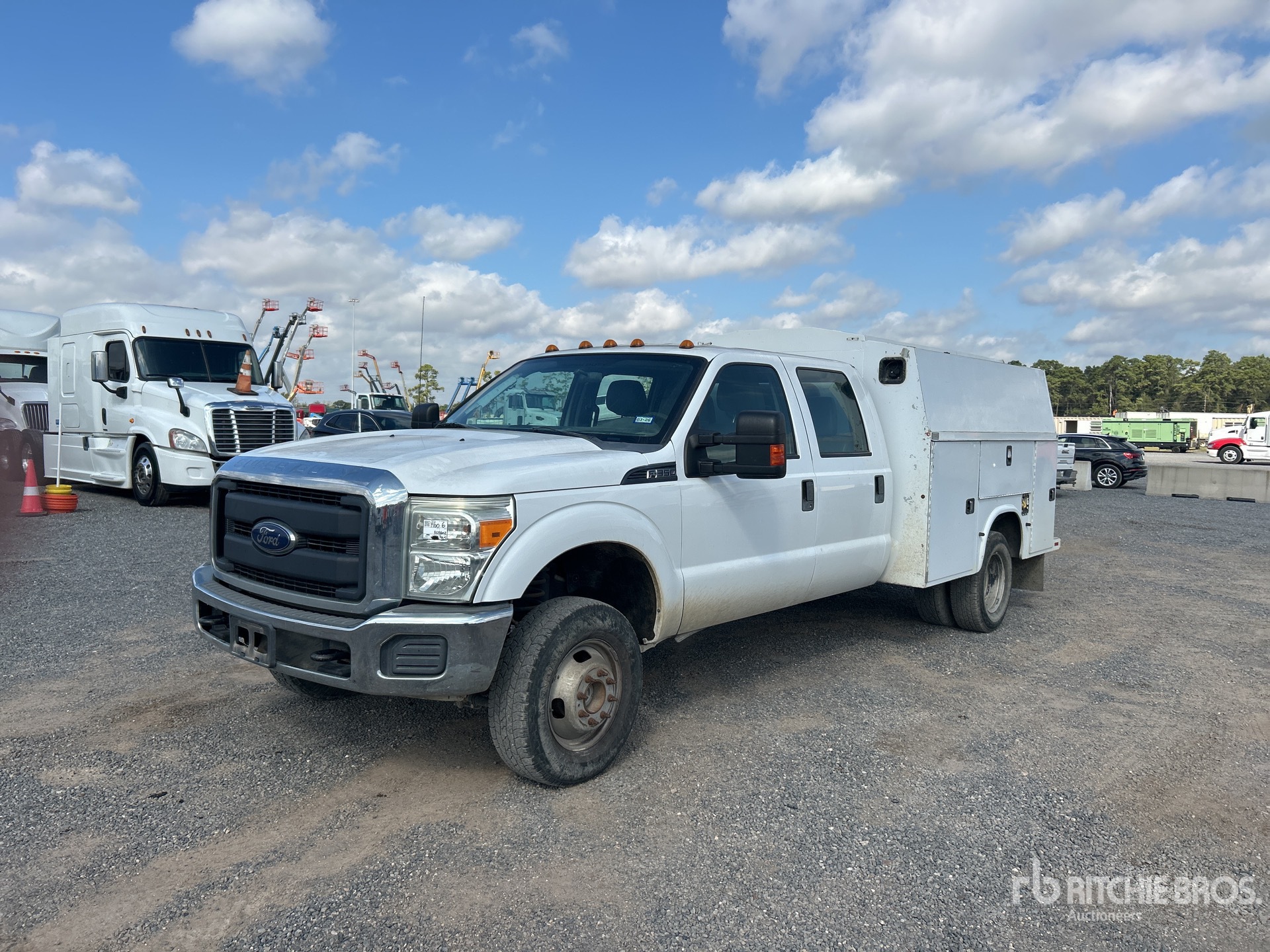 General Appearance with Spin