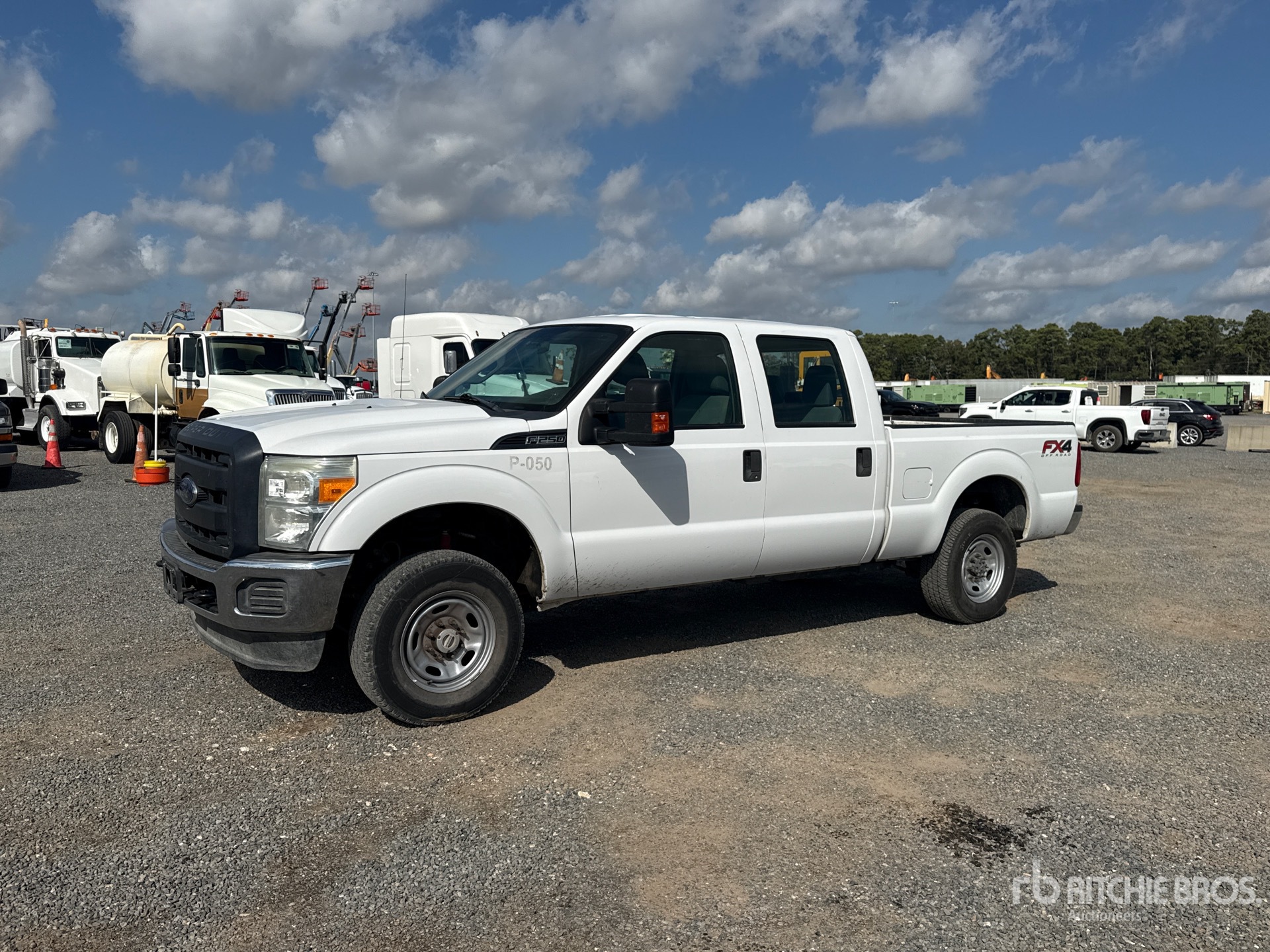 General Appearance with Spin