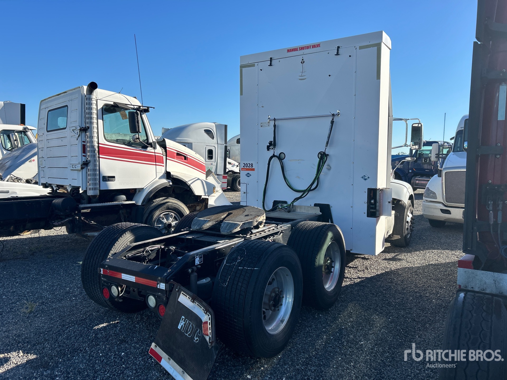 General Appearance with Zdjęcie, prawy dolny róg