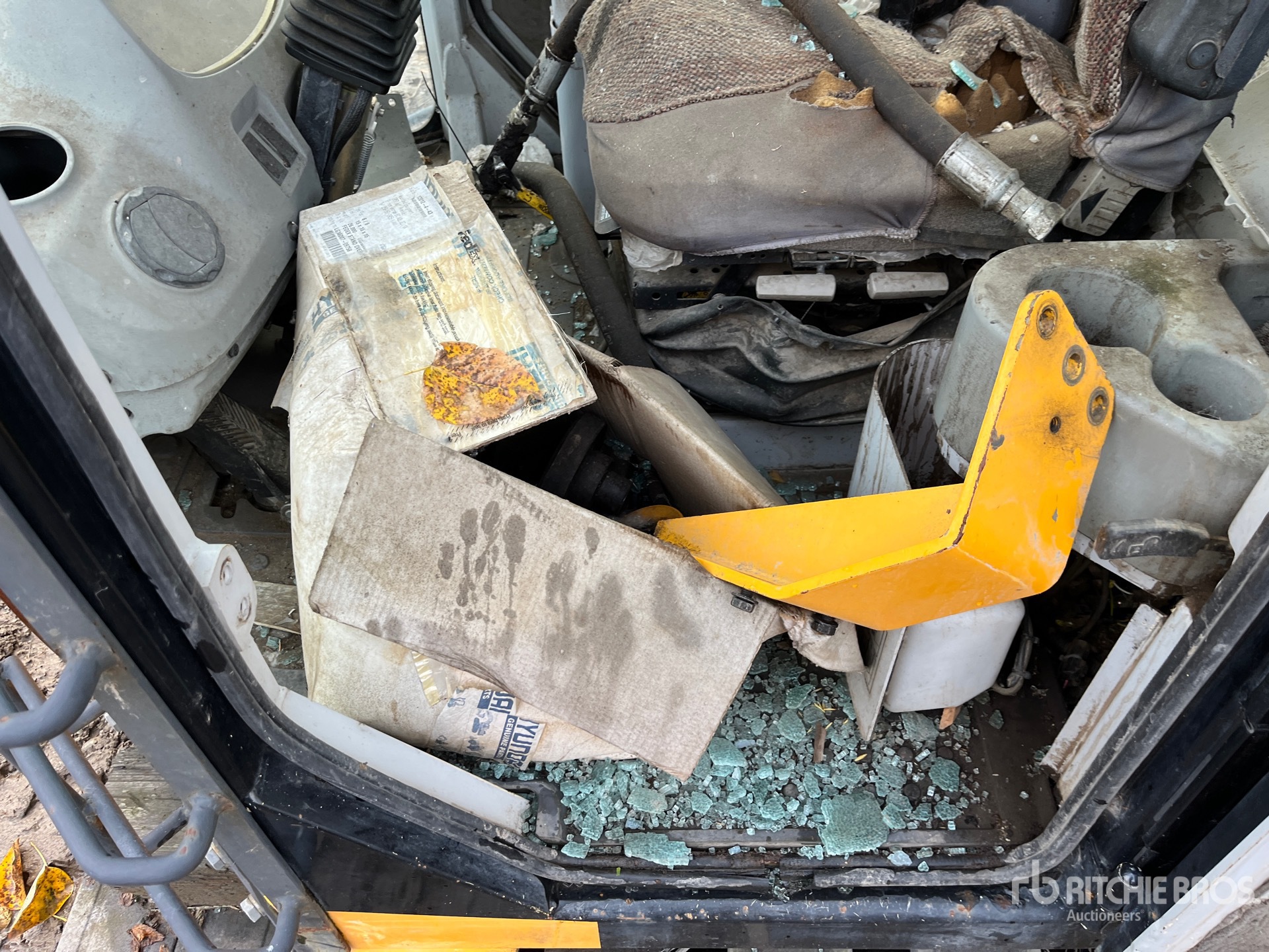 General Appearance with