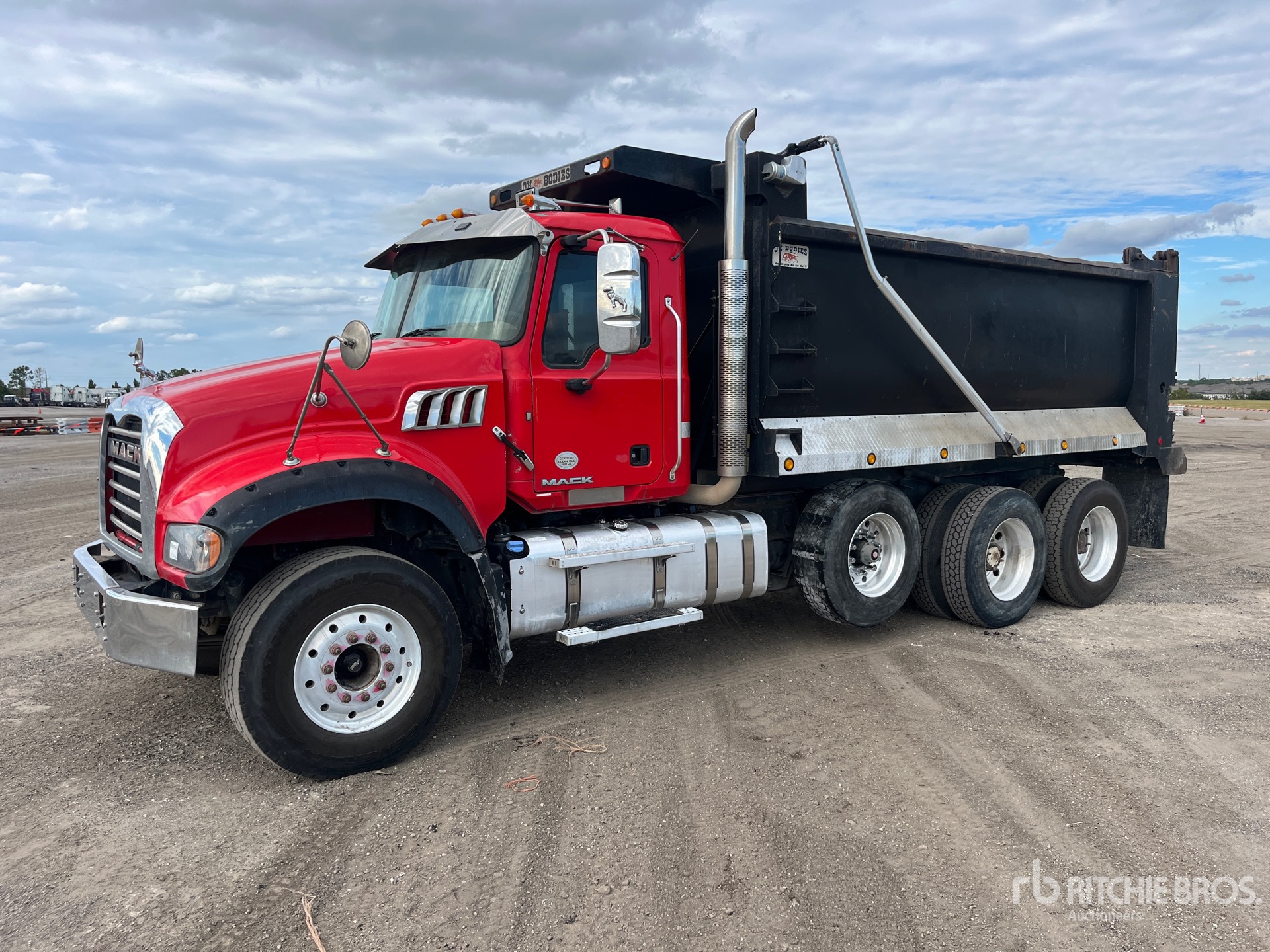 General Appearance with Spin