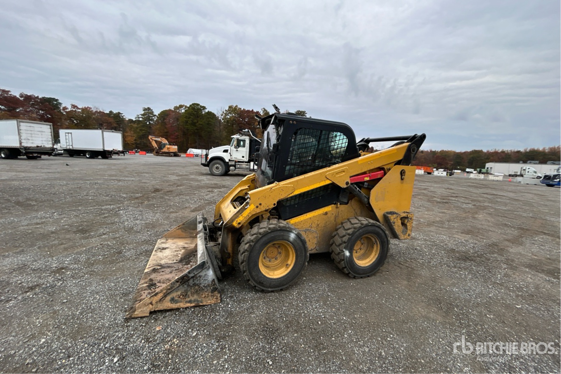 General Appearance with Spin