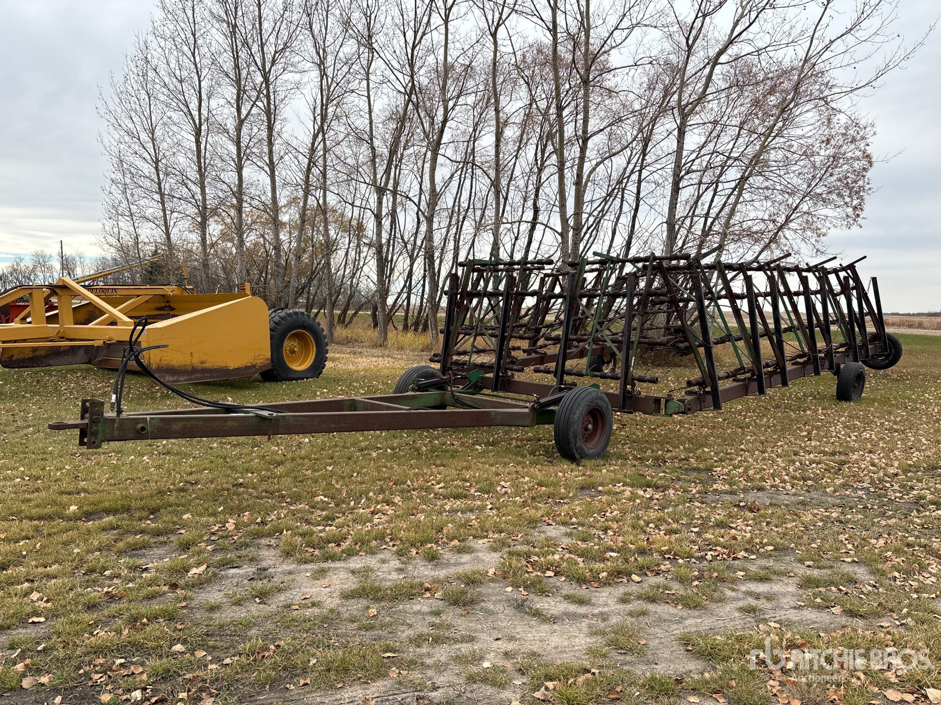 General Appearance with Bild, Ecke vorne links