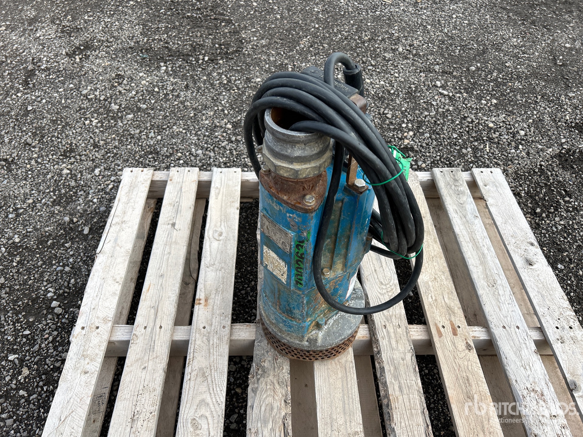 General Appearance with Foto, angolo anteriore destro