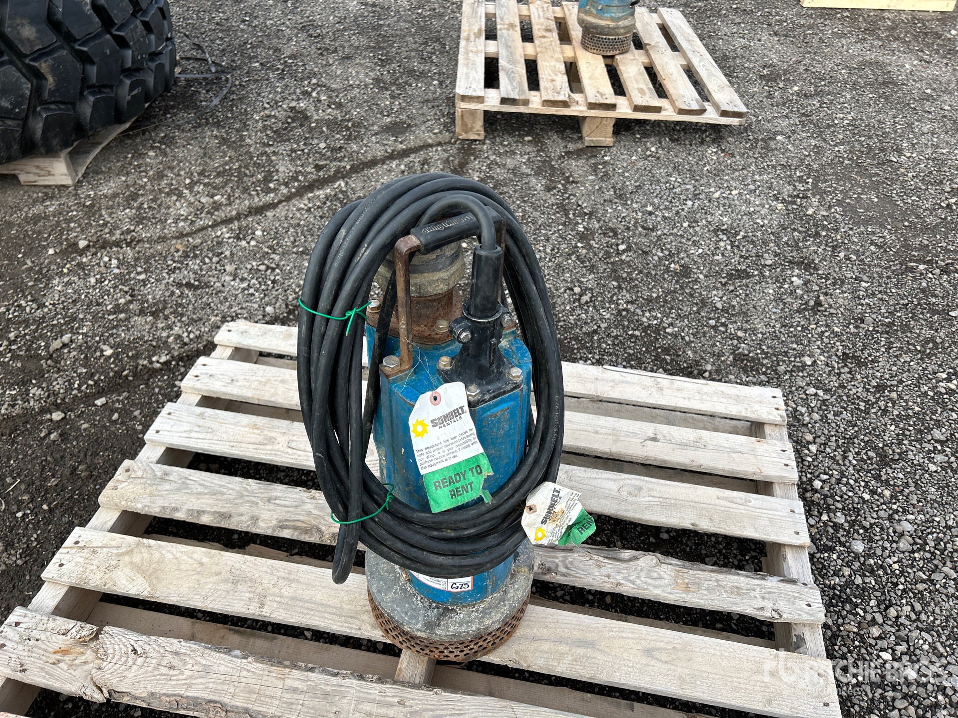 General Appearance with Foto, angolo anteriore sinistro