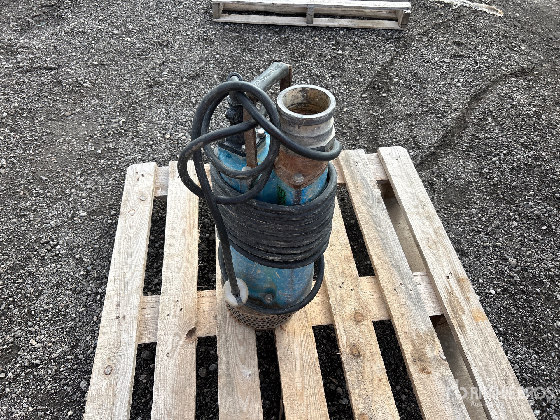 General Appearance with Foto, angolo anteriore sinistro